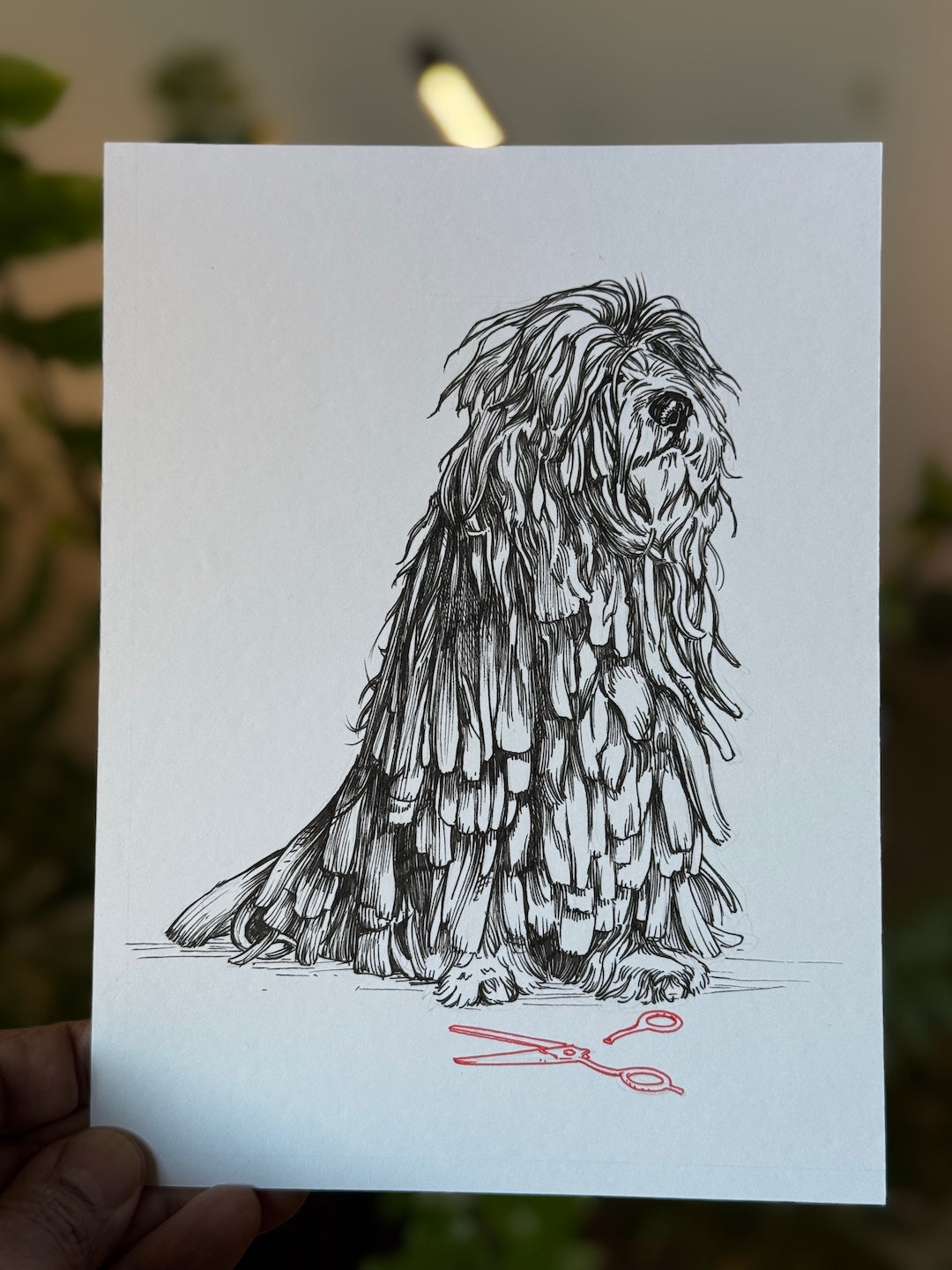 Zooctober 2025-Day 15: “Ragged”