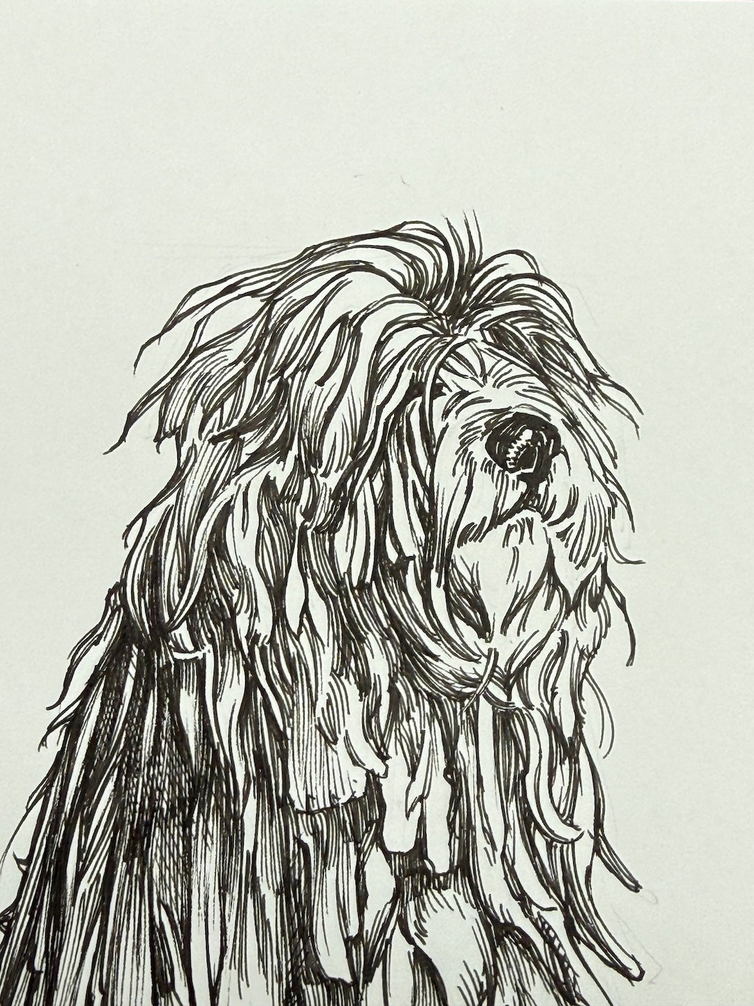 Zooctober 2025-Day 15: “Ragged”