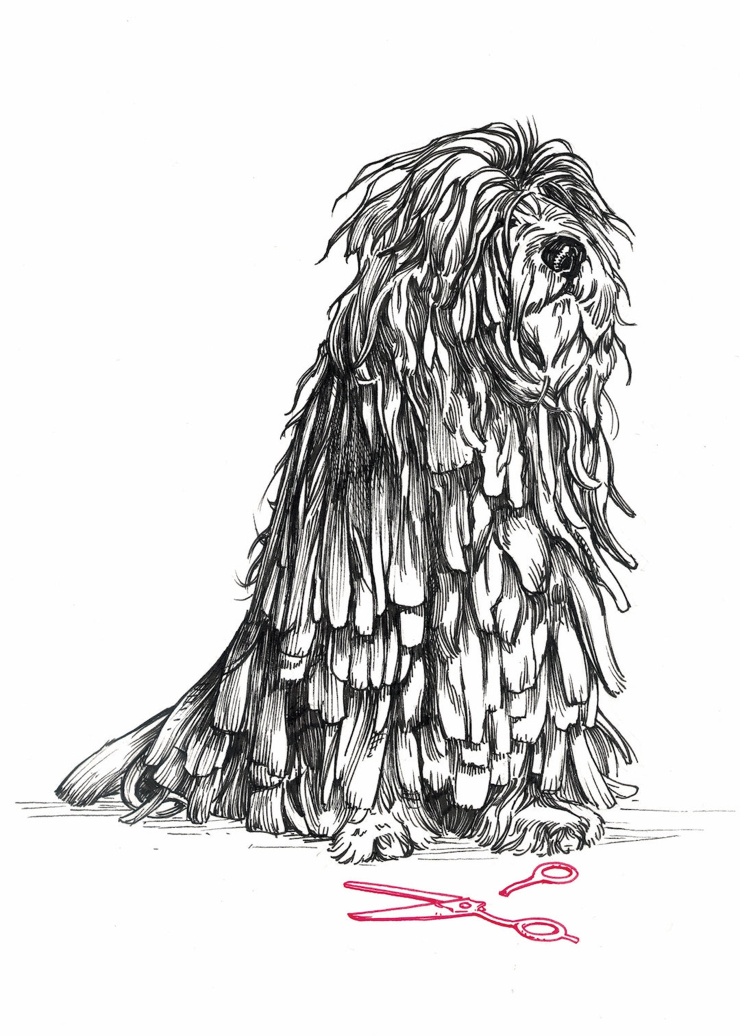 Zooctober 2025-Day 15: “Ragged” (Print)