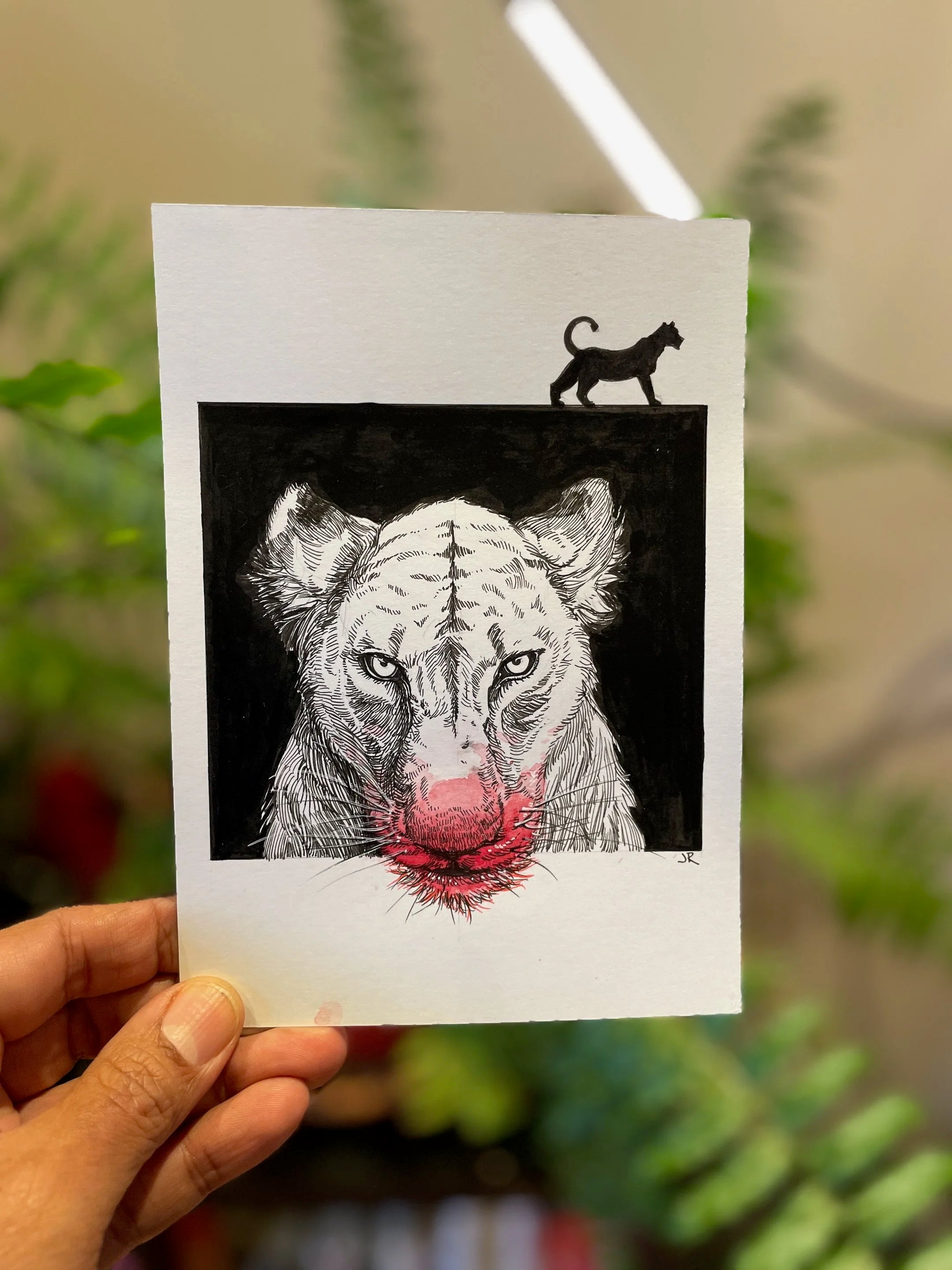 Zooctober 2024, Day 15: “Lion(ess)”