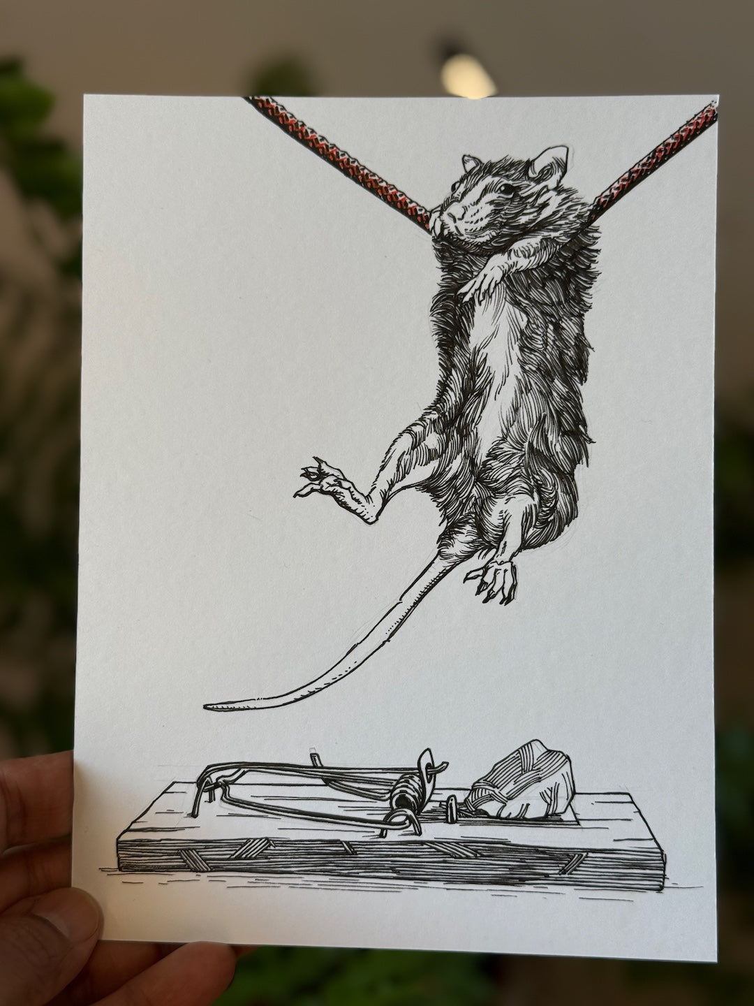 Zooctober 2025-Day 16: “Blunder”