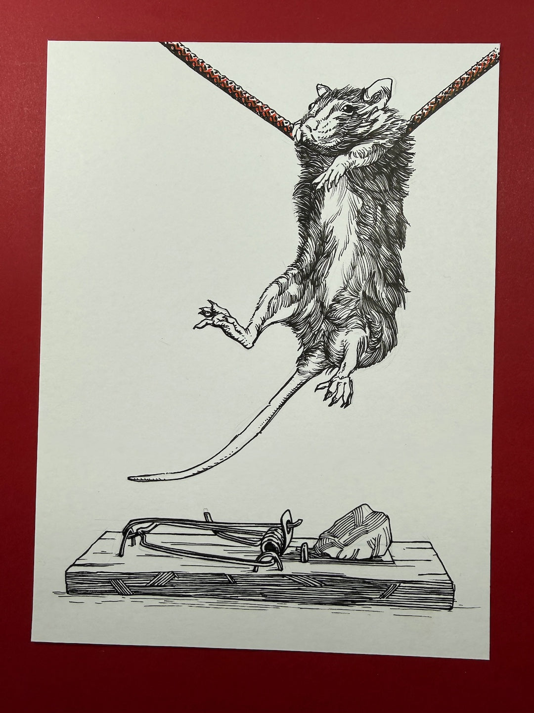 Zooctober 2025-Day 16: “Blunder”