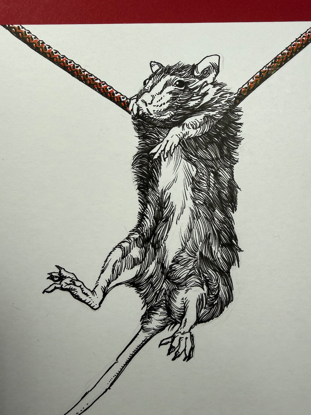 Zooctober 2025-Day 16: “Blunder”