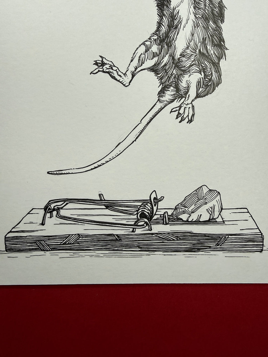 Zooctober 2025-Day 16: “Blunder”