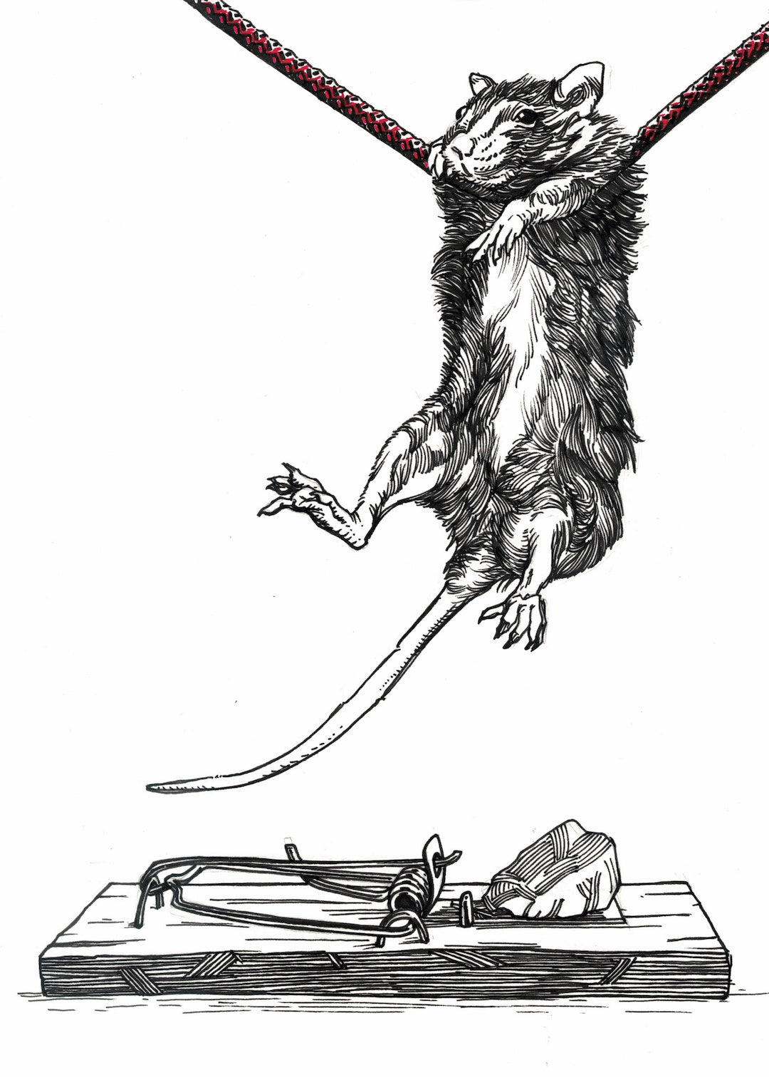 Zooctober 2025-Day 16: “Blunder” (Print)