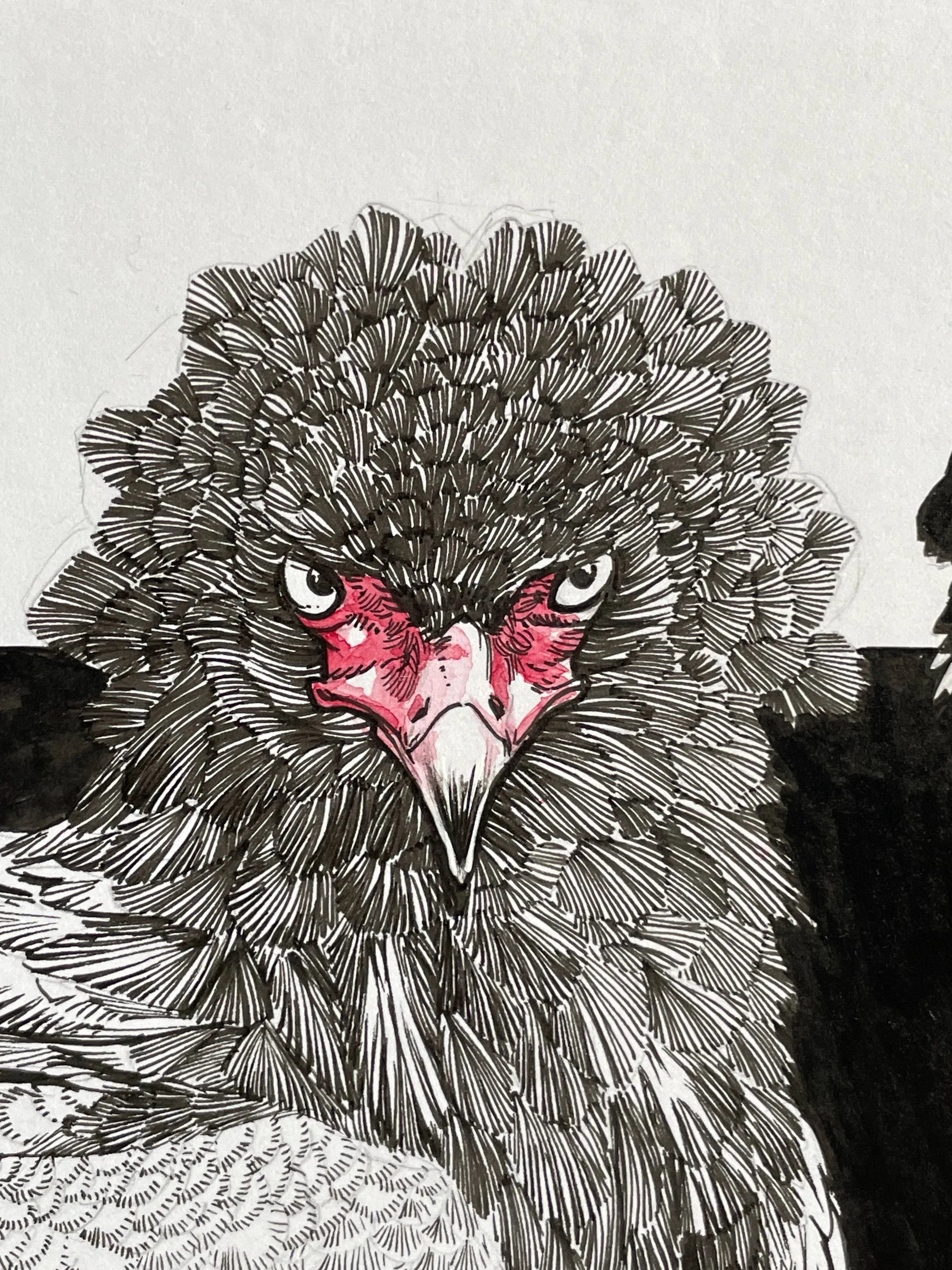 Zooctober 2024, Day 16: “Bateleur Eagle”