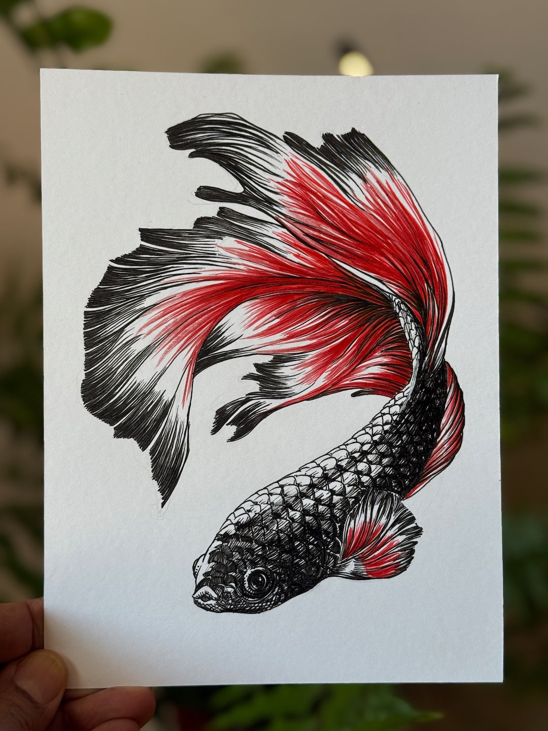 Zooctober 2025-Day 17: “Ornate”