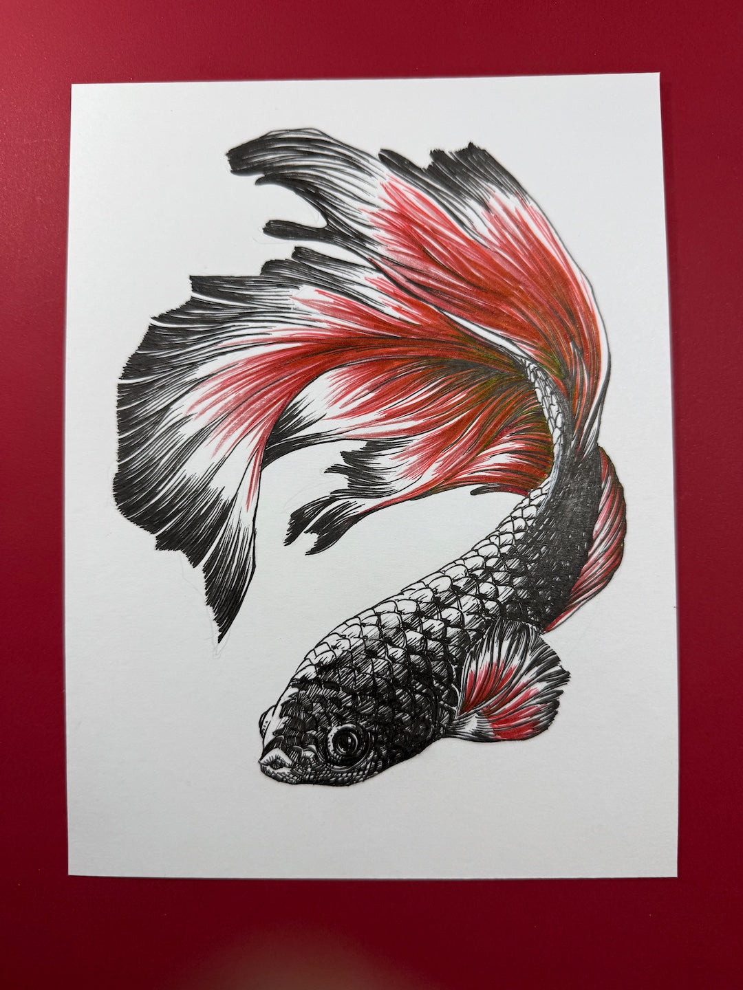 Zooctober 2025-Day 17: “Ornate”