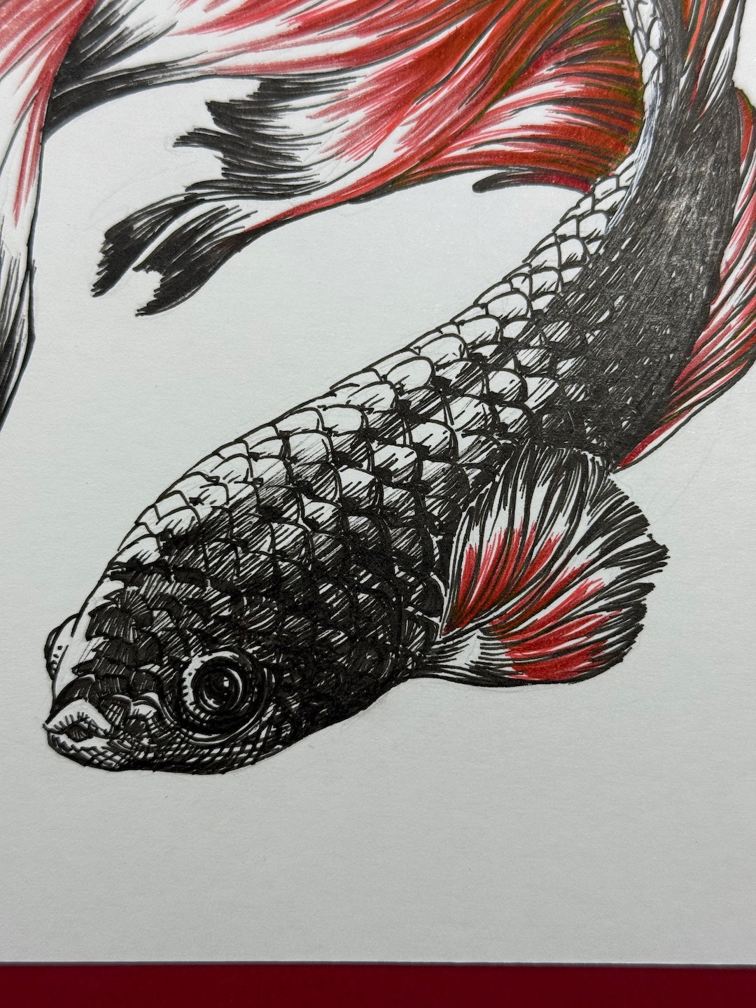 Zooctober 2025-Day 17: “Ornate”