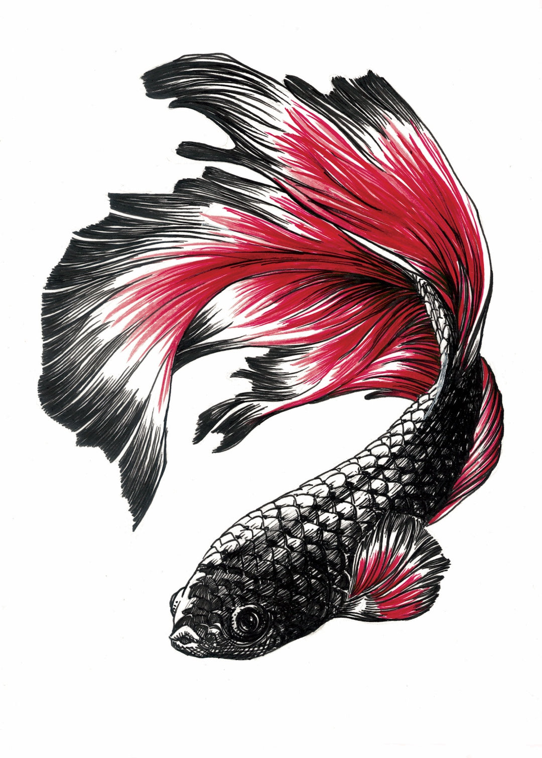 Zooctober 2025-Day 17: “Ornate” (Print)