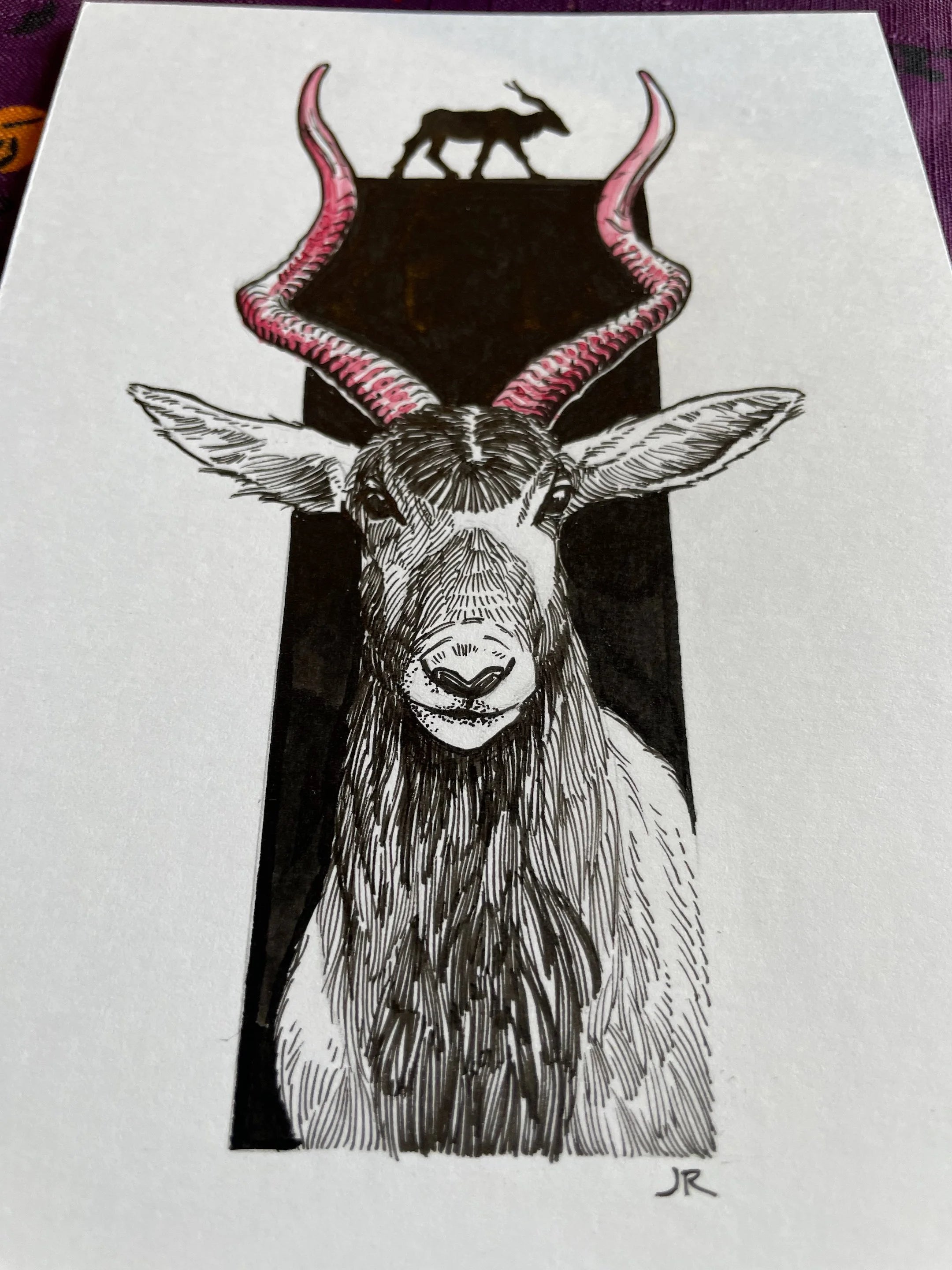 Zooctober 2024, Day 17: “Addax”