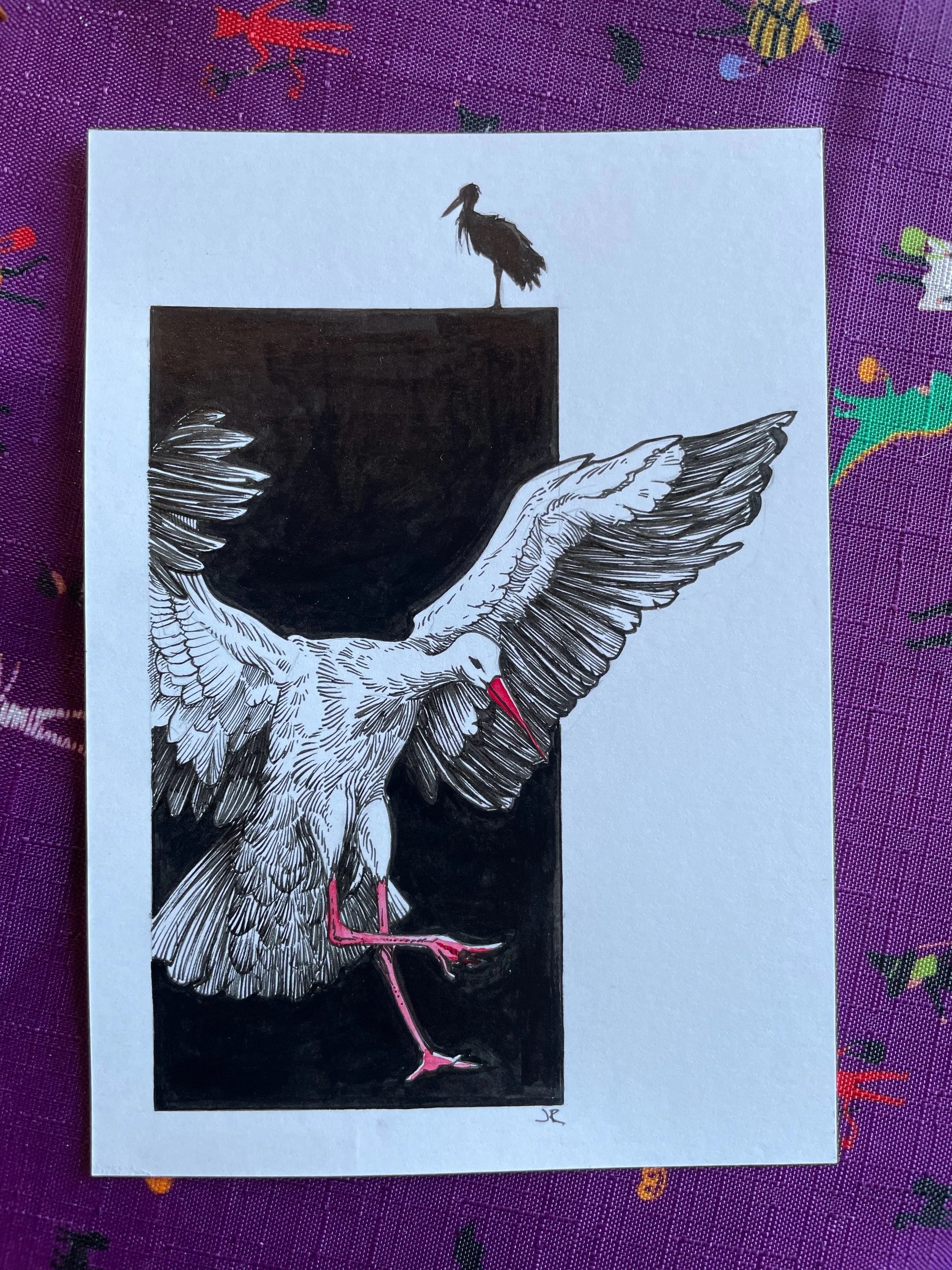 Zooctober 2024, Day 18: “Stork”