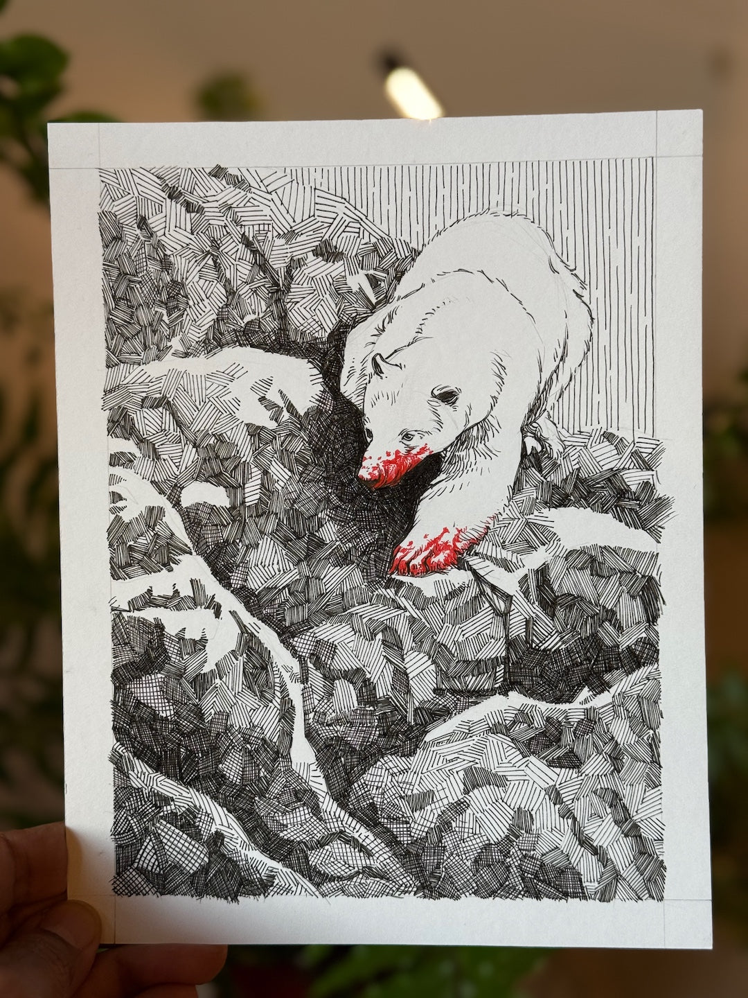 Zooctober 2025-Day 19: “Arctic”