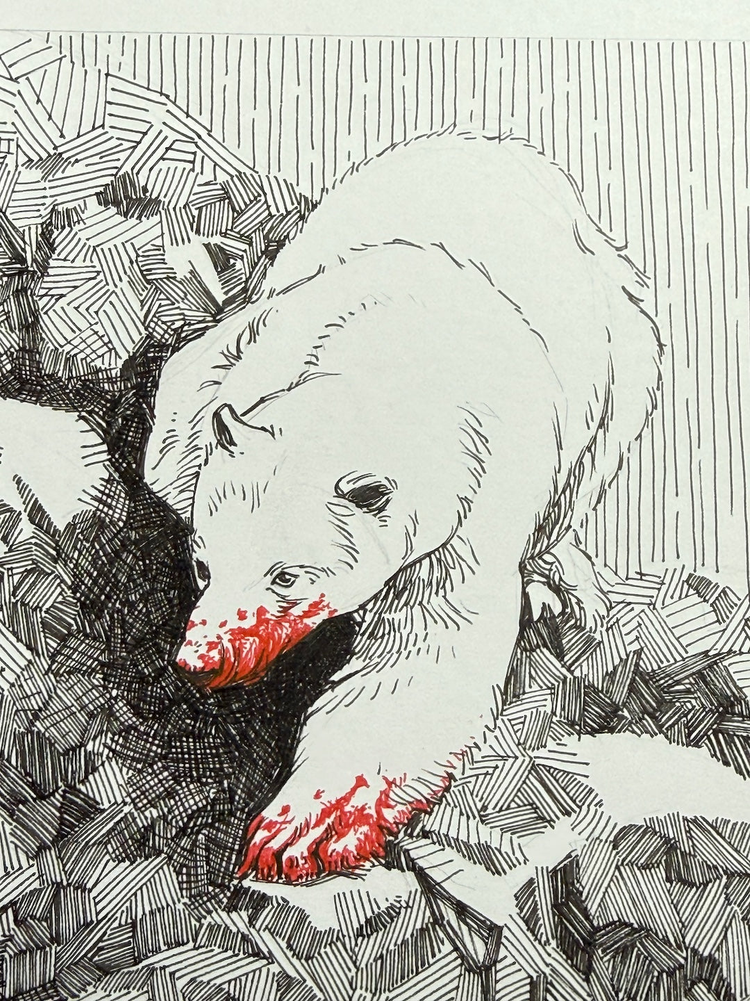 Zooctober 2025-Day 19: “Arctic”