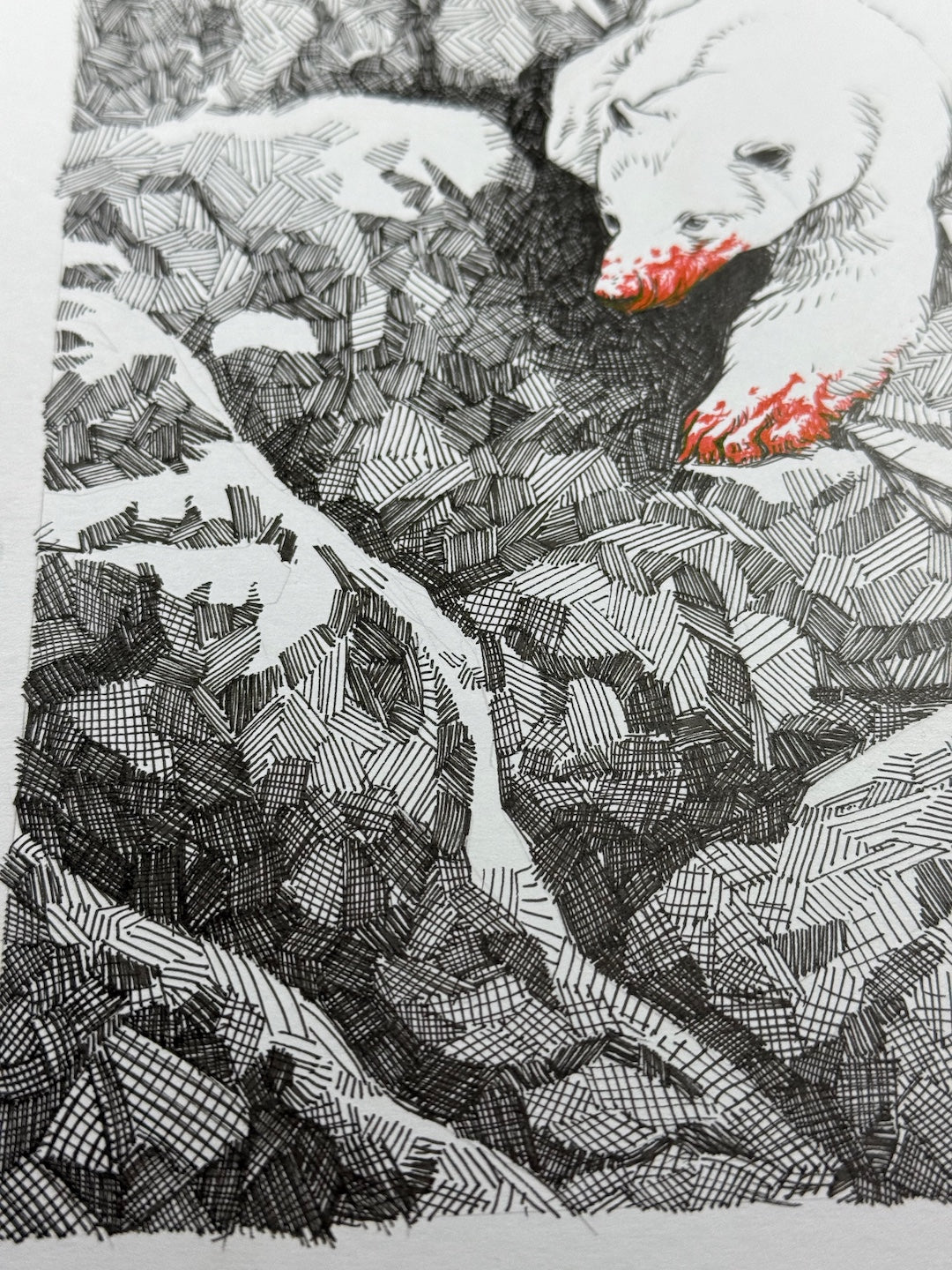 Zooctober 2025-Day 19: “Arctic”