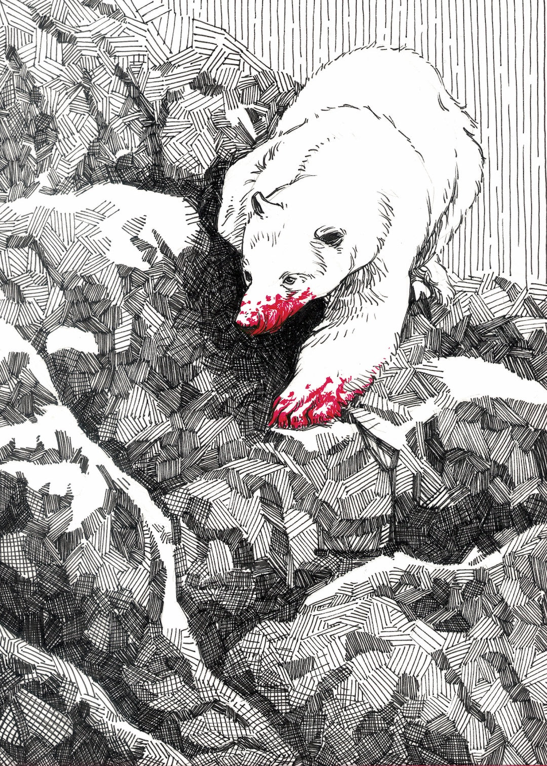 Zooctober 2025-Day 19: “Arctic” (Print)