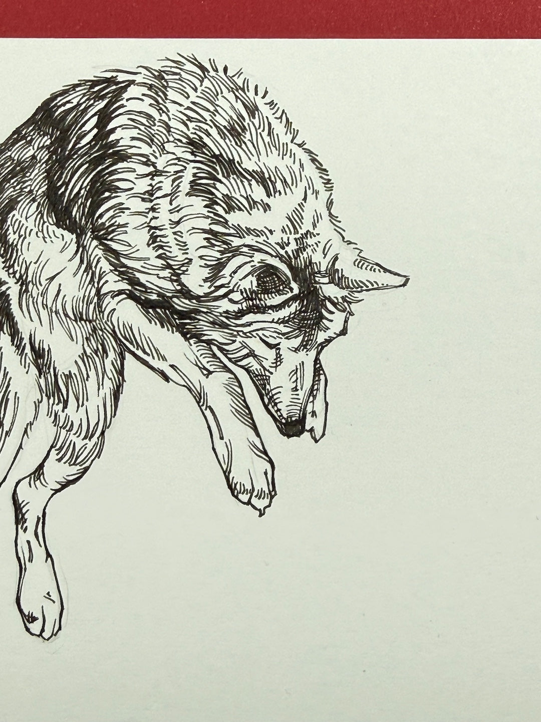 Zooctober 2025-Day 20: “Rivals”