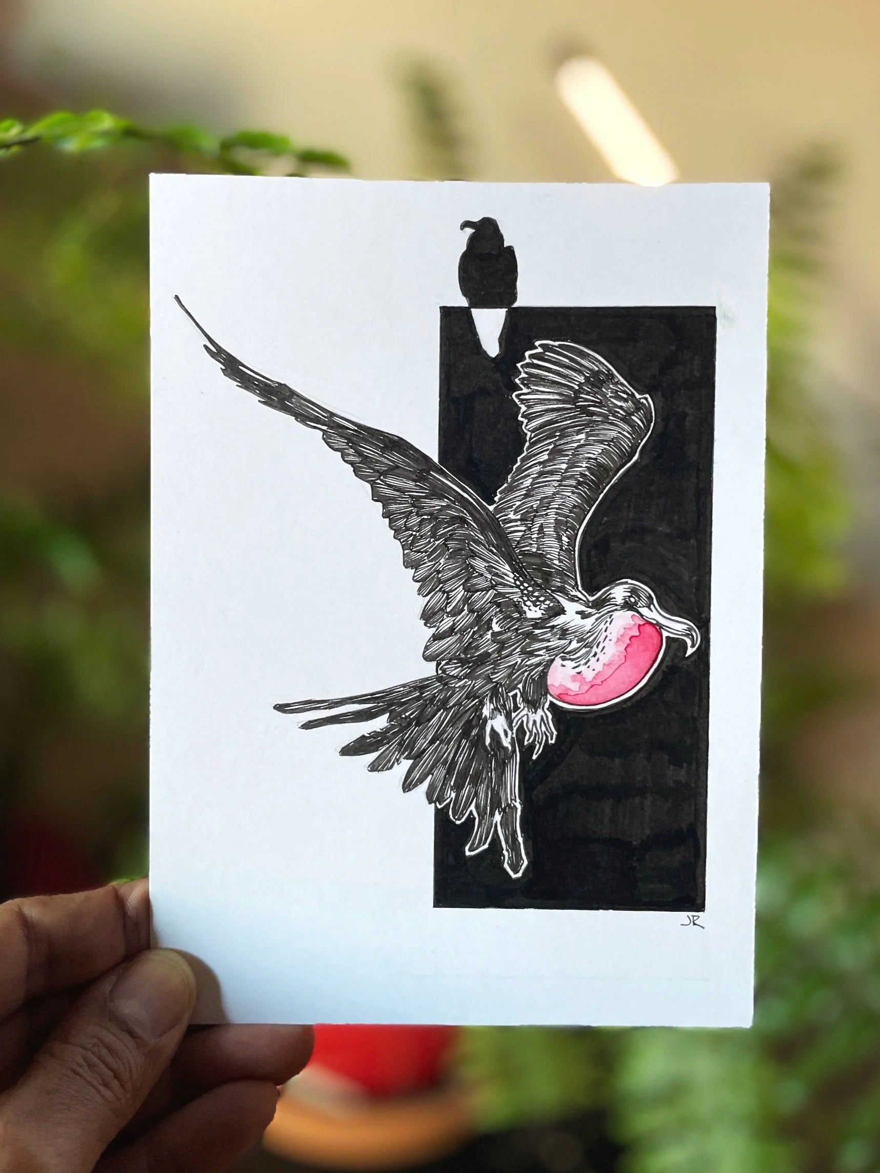 Zooctober 2024, Day 22: “Frigate Bird”