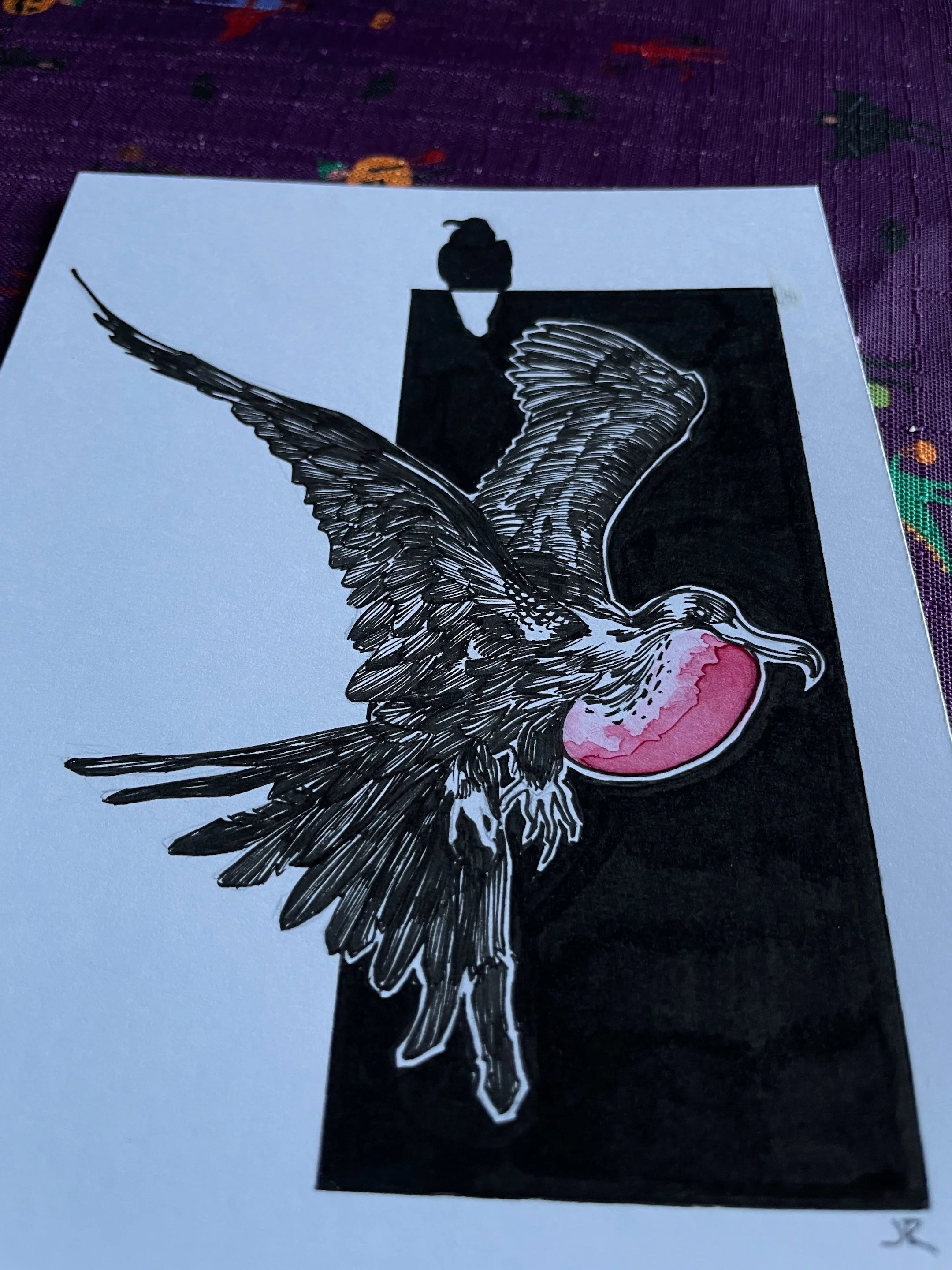 Zooctober 2024, Day 22: “Frigate Bird”