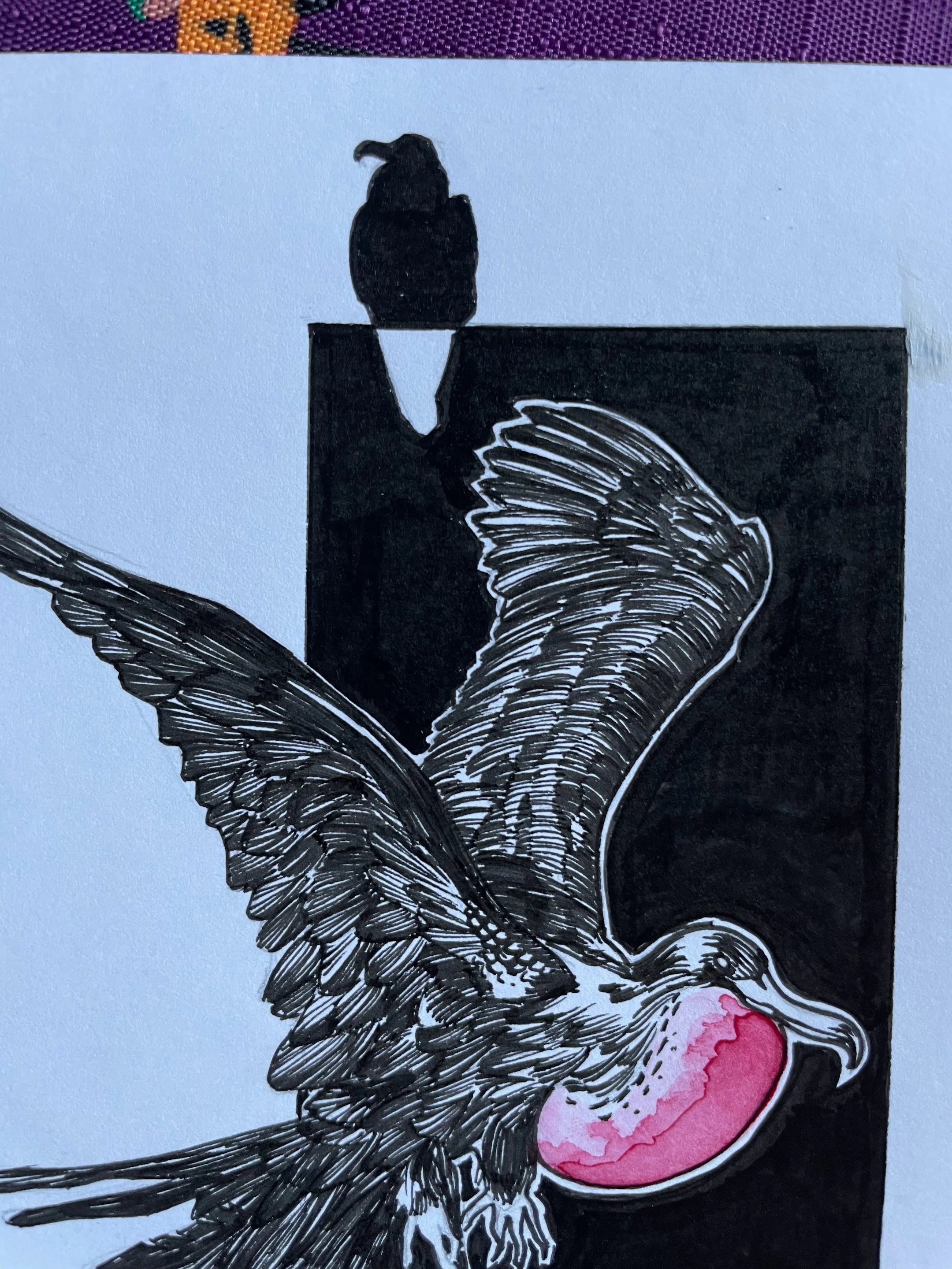 Zooctober 2024, Day 22: “Frigate Bird”