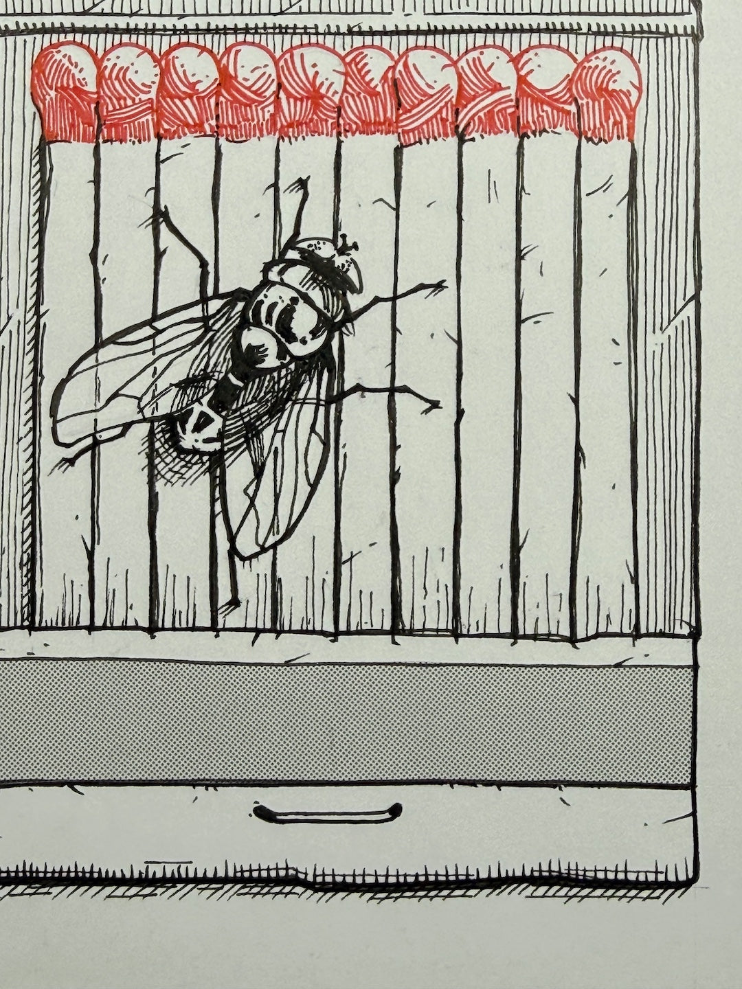 Zooctober 2025-Day 23: “Firefly”