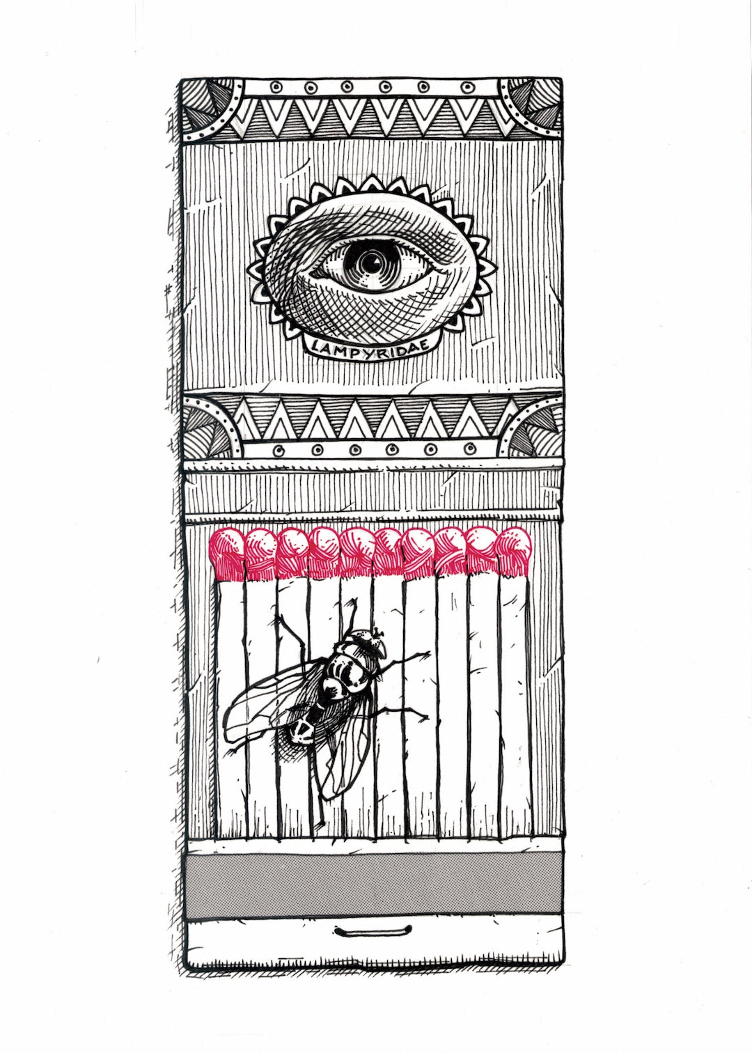 Zooctober 2025-Day 23: “Firefly” (Print)