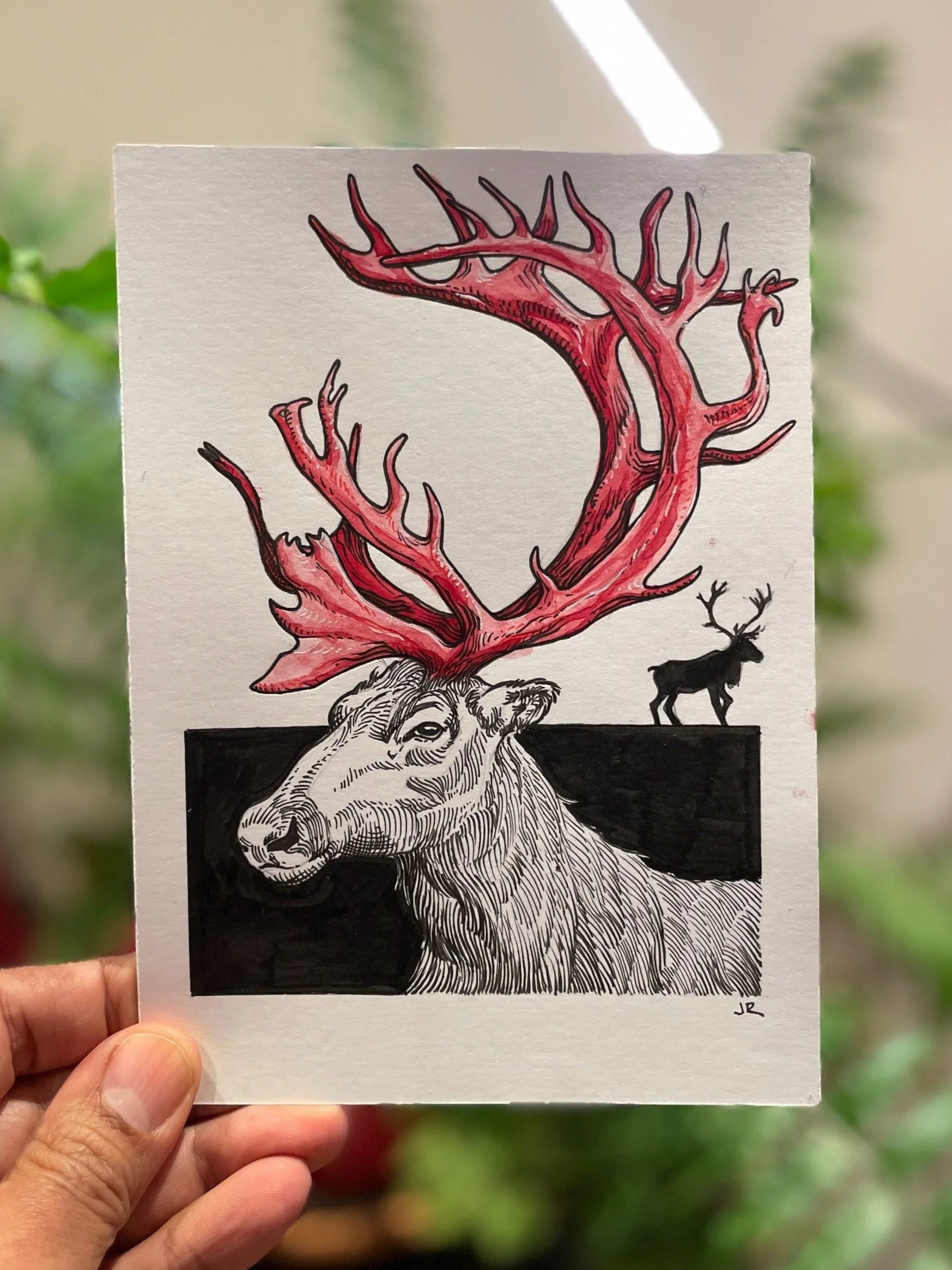 Zooctober 2024, Day 23: “Caribou”