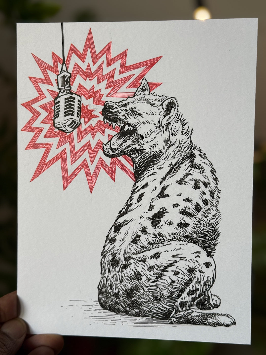 Zooctober 2025-Day 24: “Rowdy”