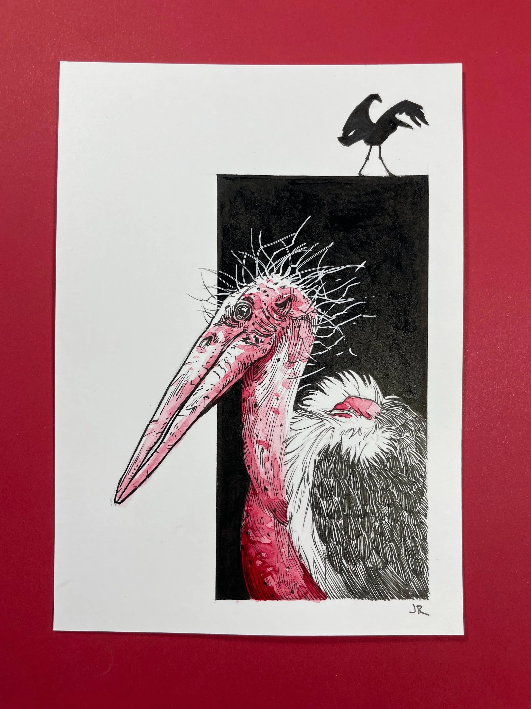 Zooctober 2024, Day 24: “Marabou”