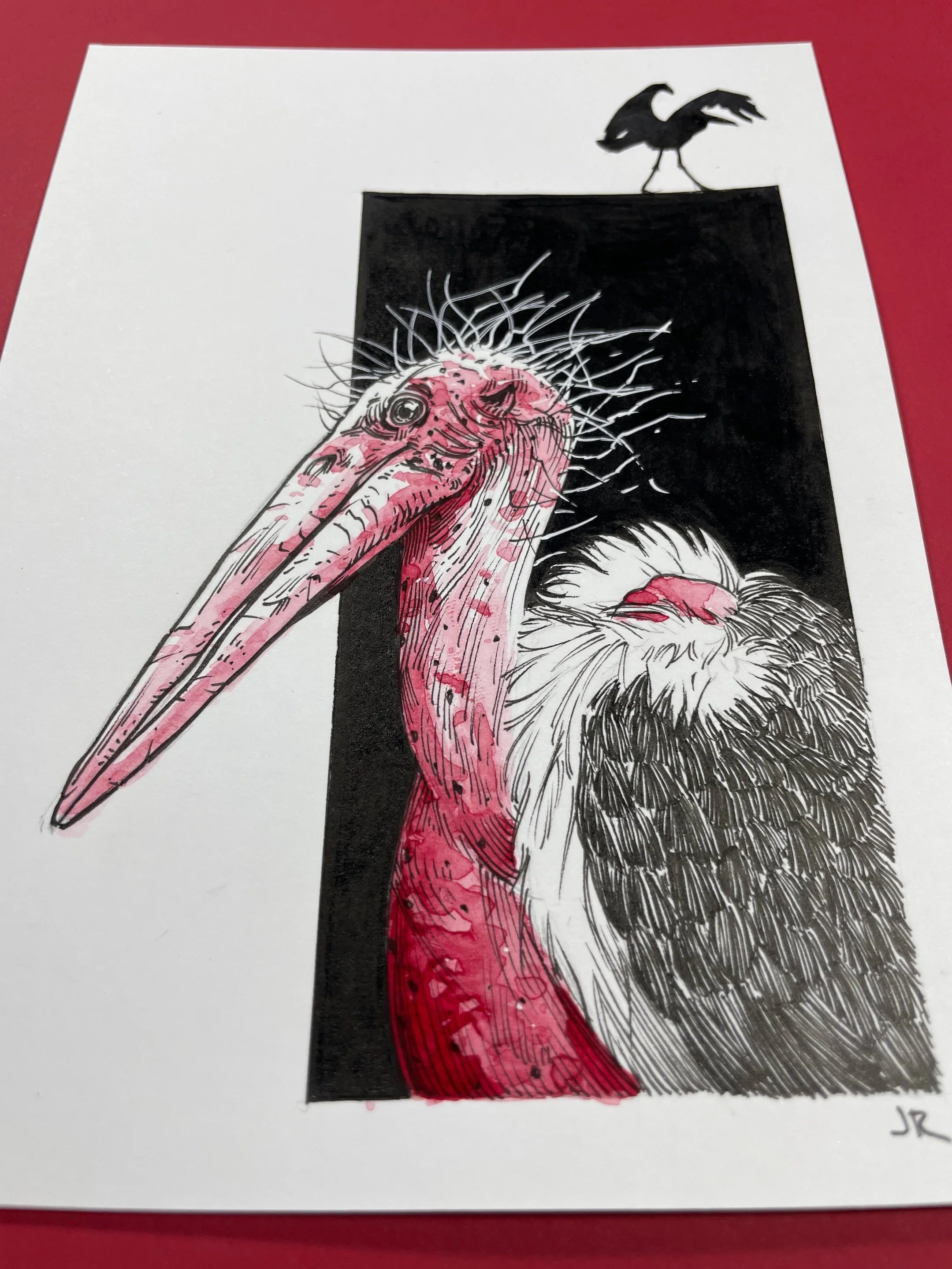 Zooctober 2024, Day 24: “Marabou”