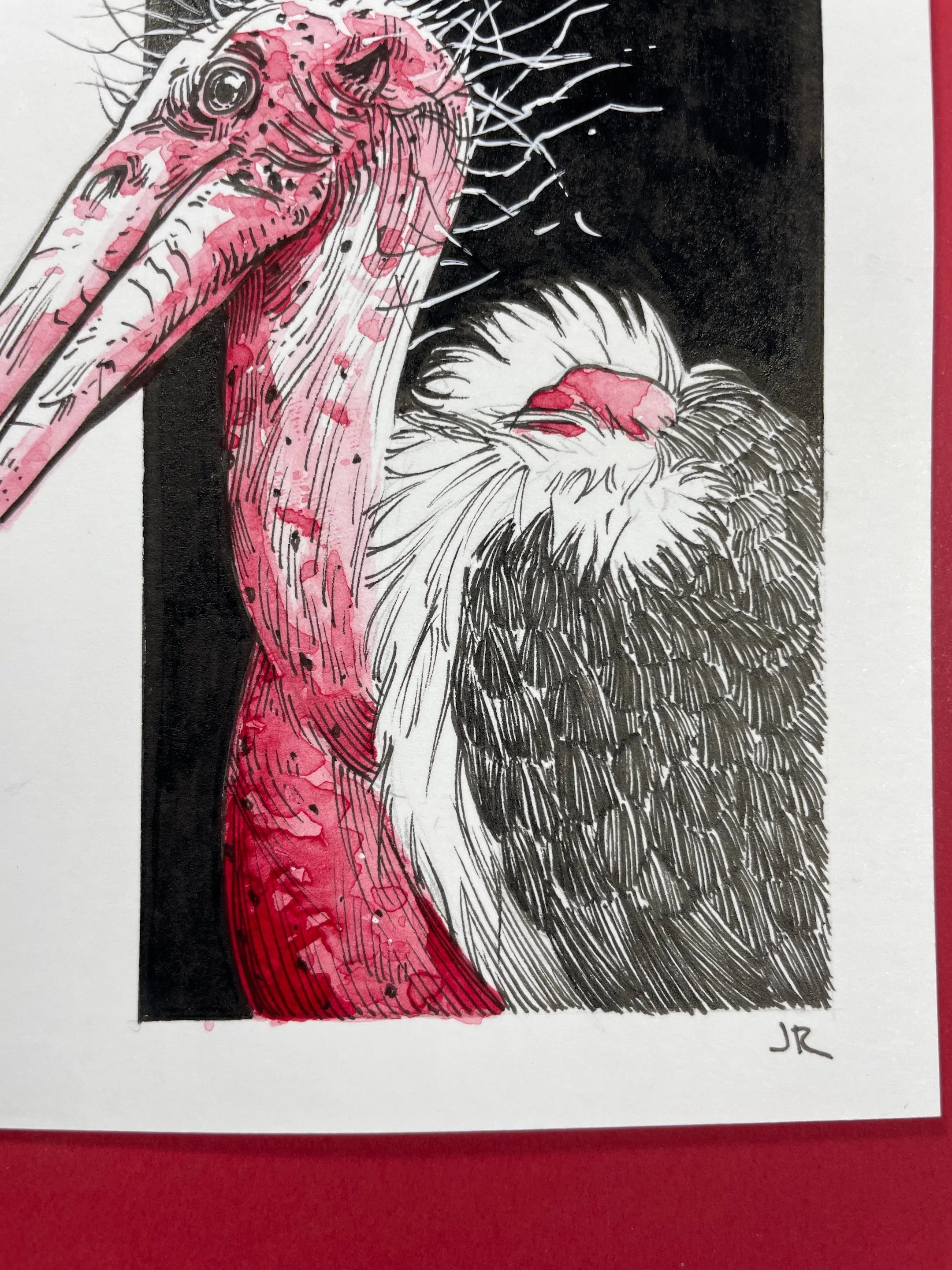 Zooctober 2024, Day 24: “Marabou”