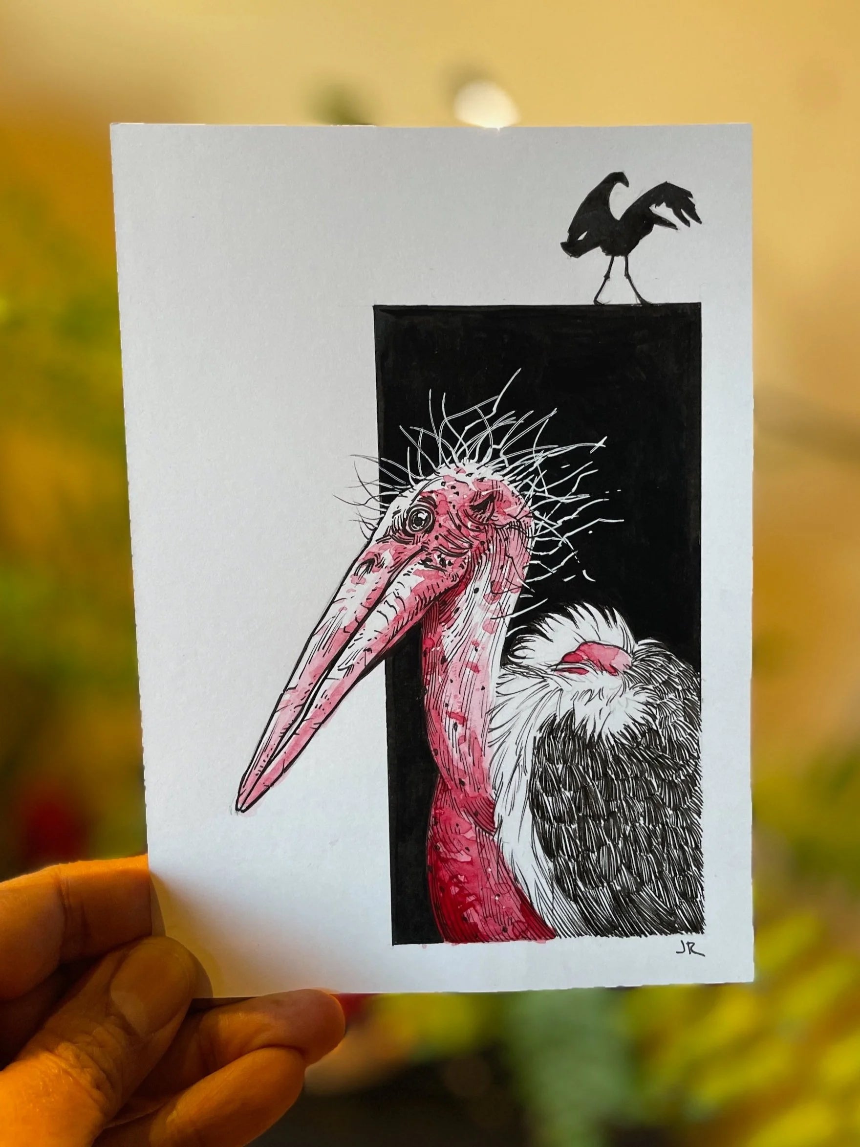 Zooctober 2024, Day 24: “Marabou”