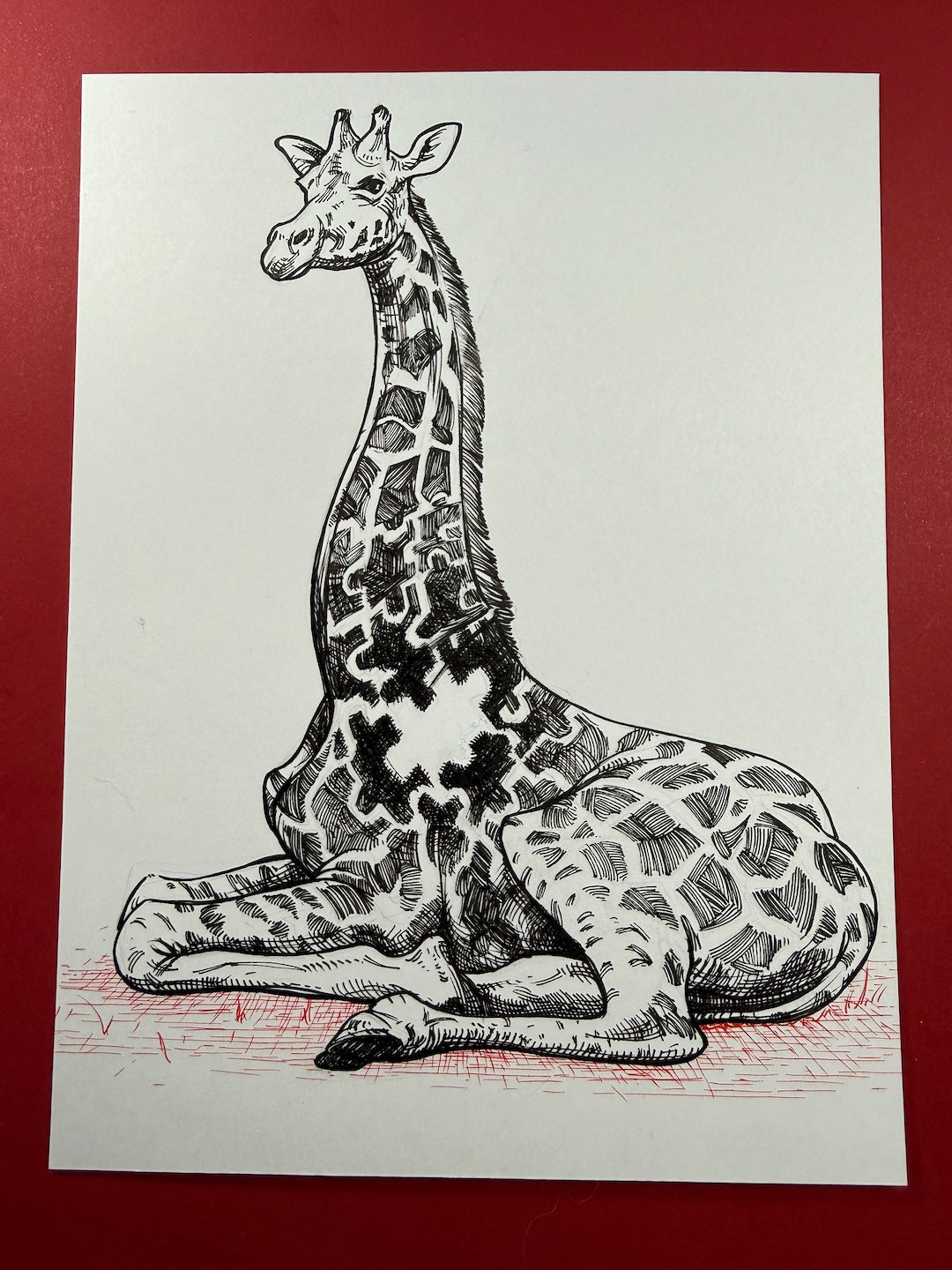 Zooctober 2025-Day 26: “Puzzling”