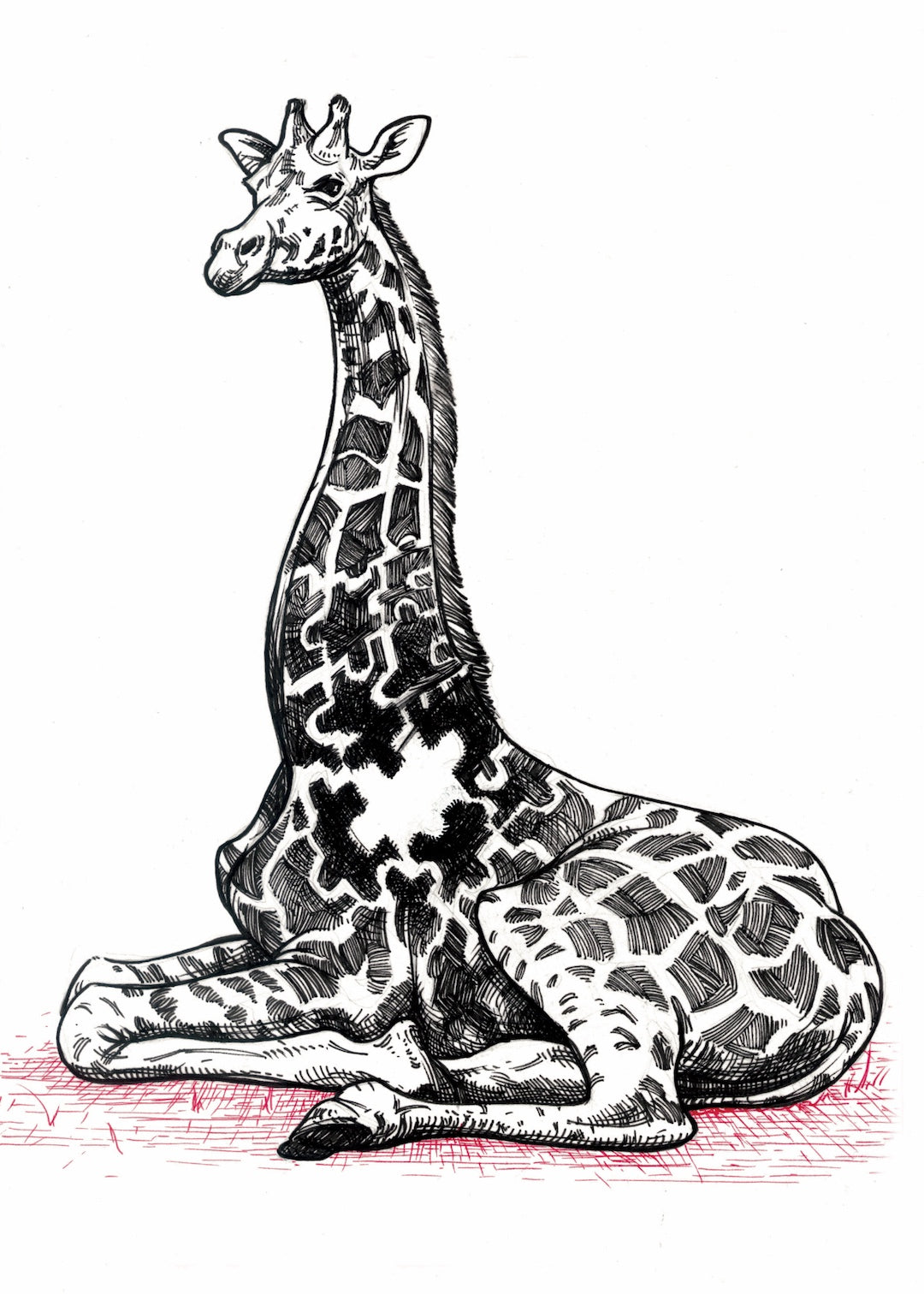 Zooctober 2025-Day 26: “Puzzling” (Print)