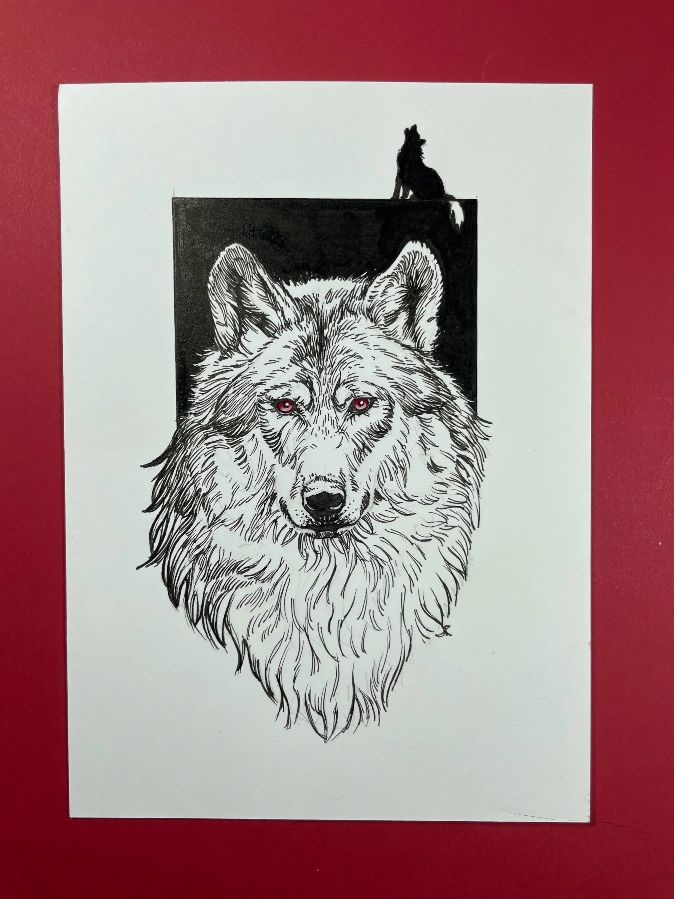 Zooctober 2024, Day 27: “Wolf”