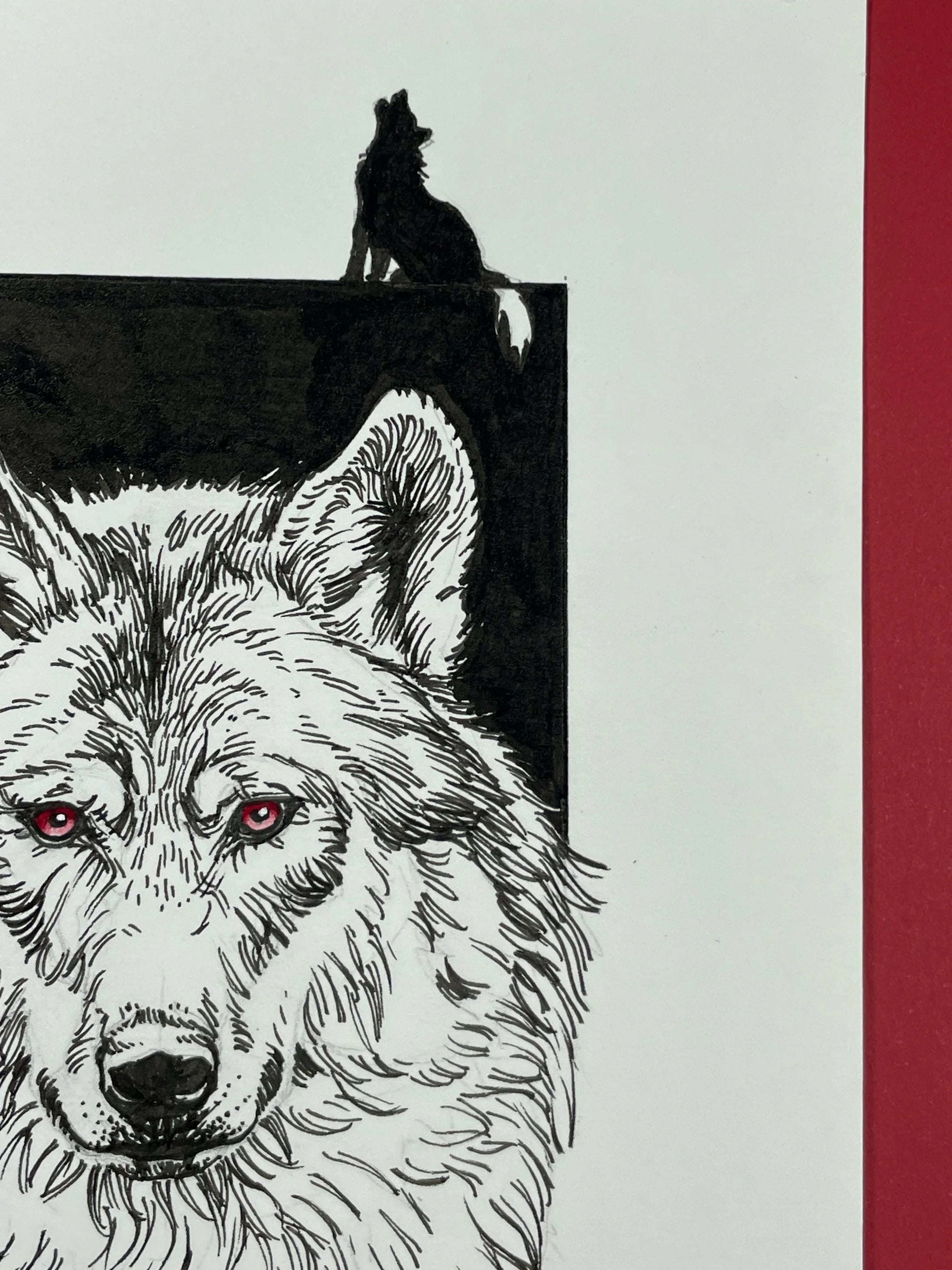 Zooctober 2024, Day 27: “Wolf”