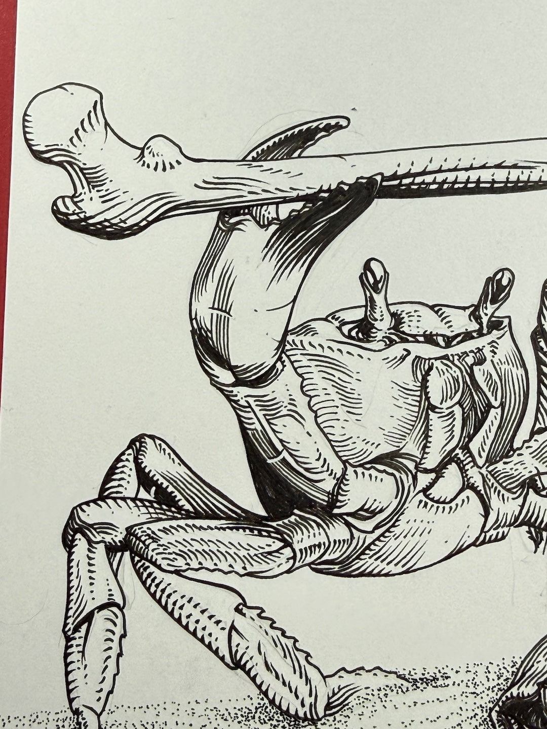 Zooctober 2025-Day 28: “(Exo)Skeletal”