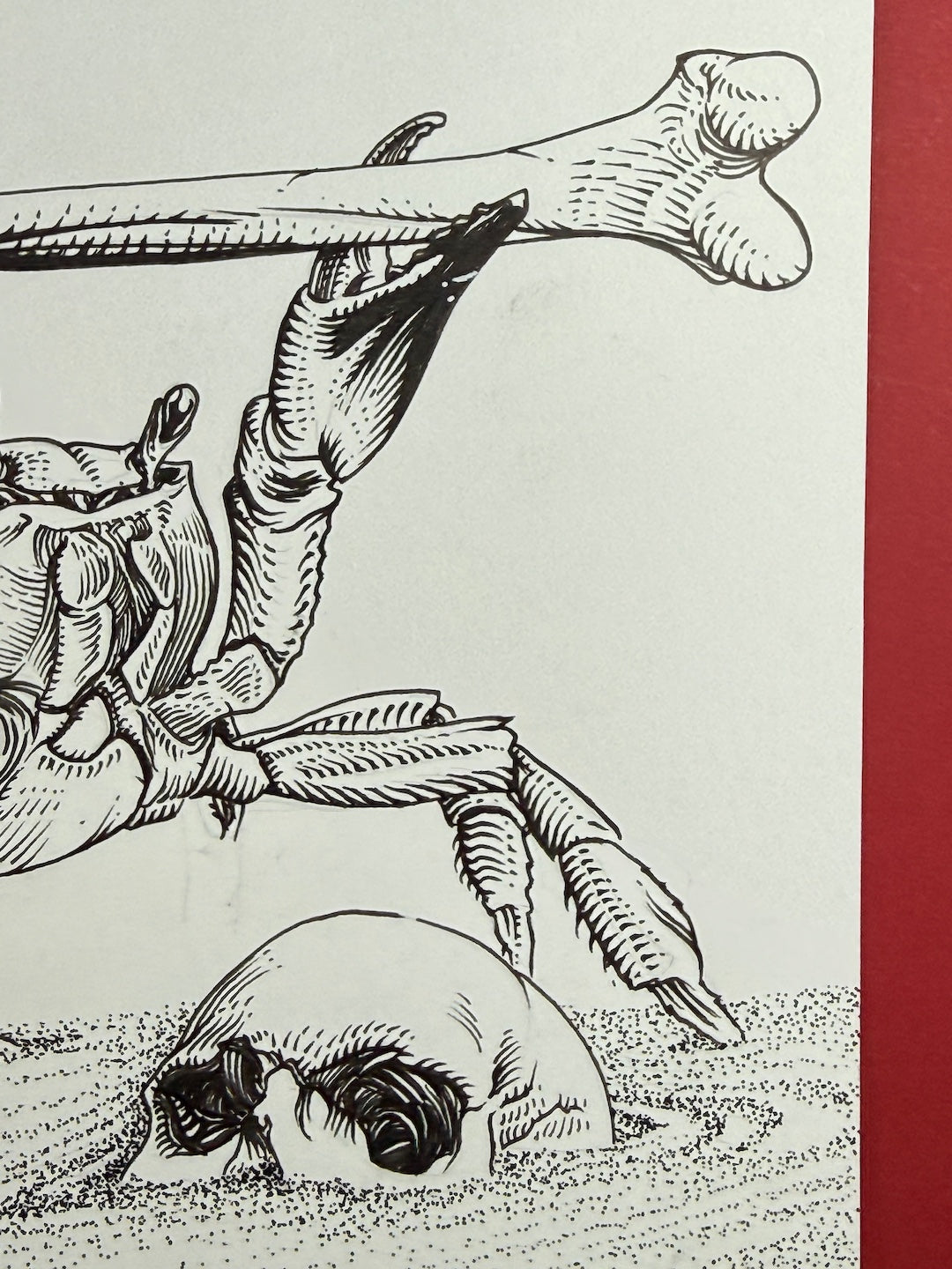 Zooctober 2025-Day 28: “(Exo)Skeletal”