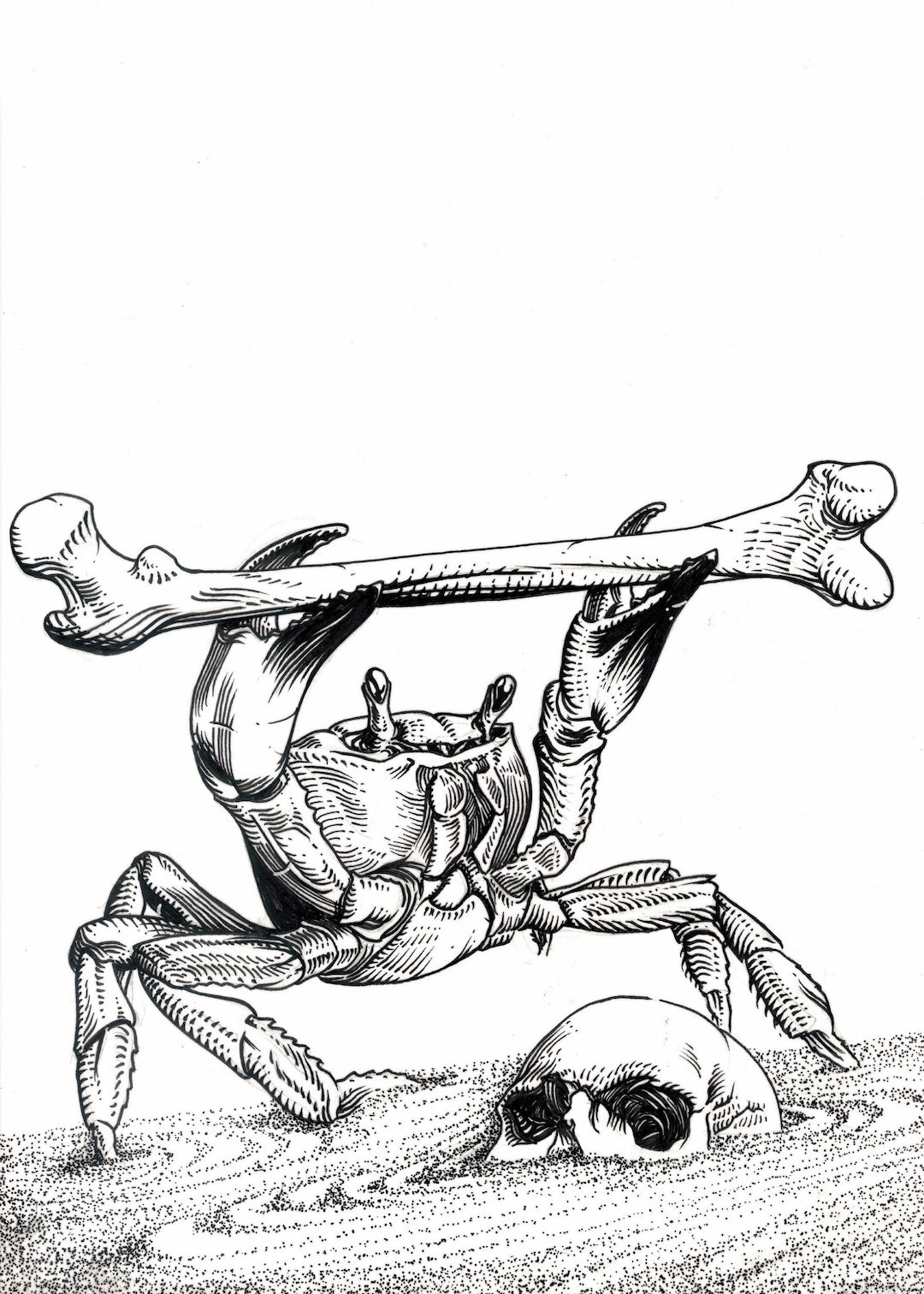 Zooctober 2025-Day 28: “(Exo)Skeletal” (Print)