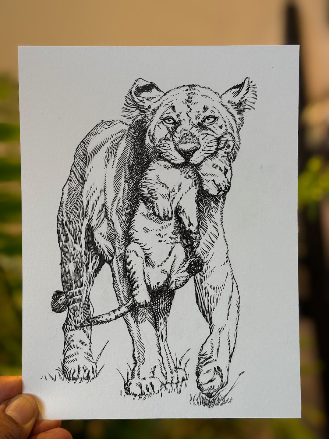 Zooctober 2025-Day 29: “Lesson”