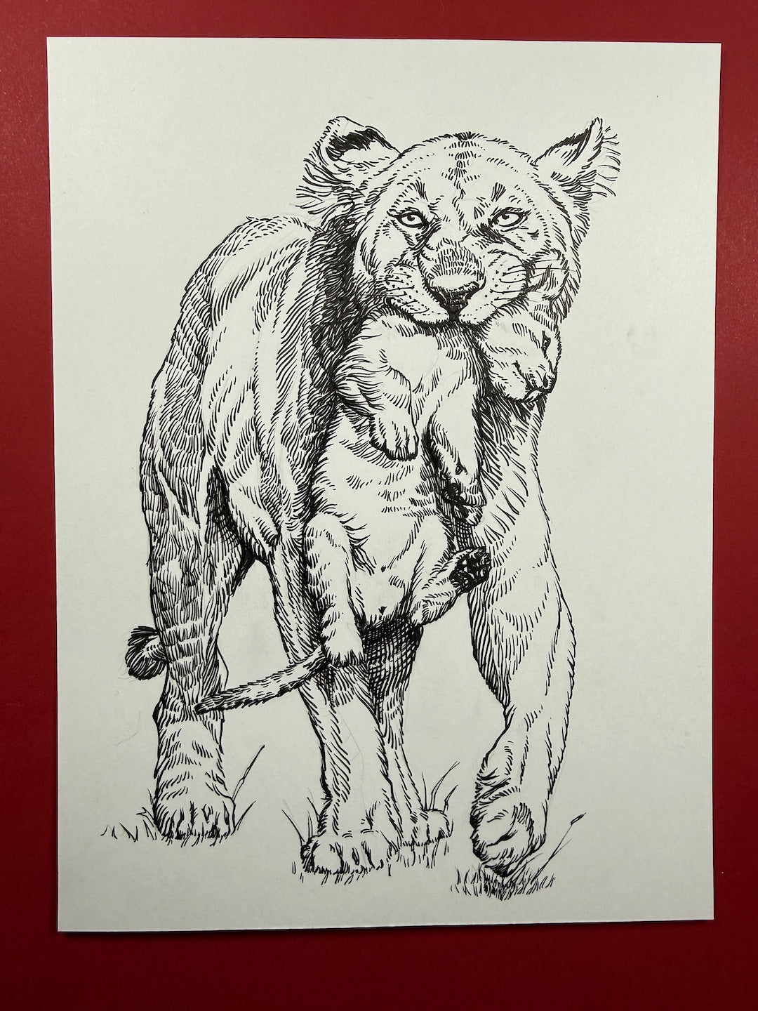 Zooctober 2025-Day 29: “Lesson”