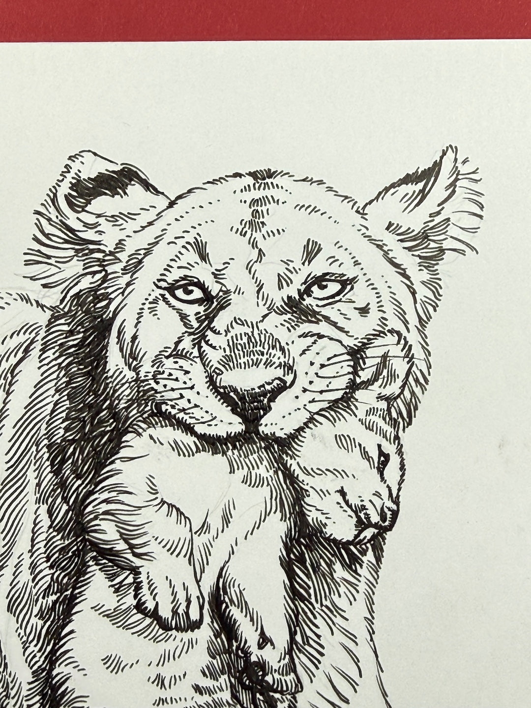 Zooctober 2025-Day 29: “Lesson”