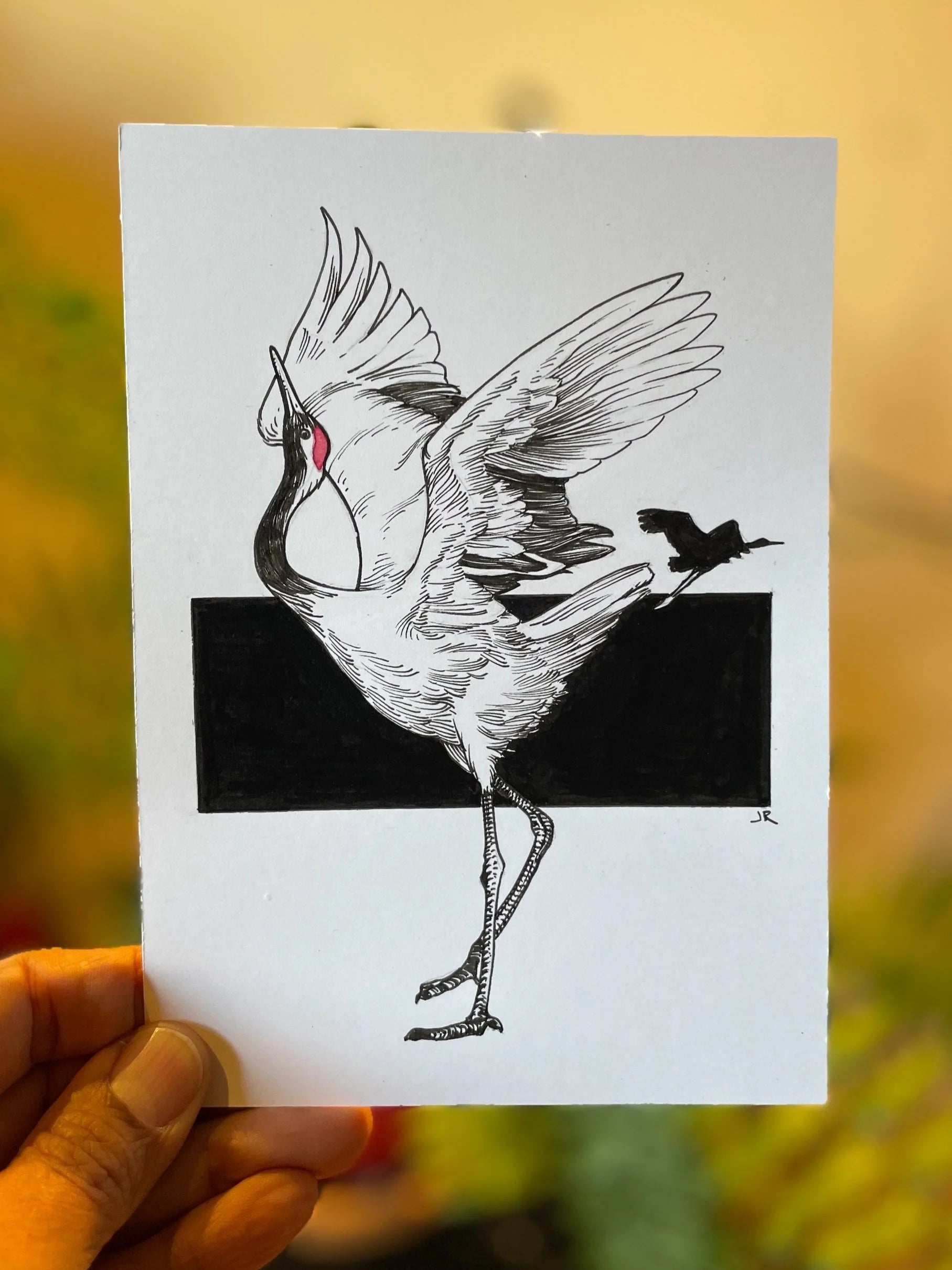 Zooctober 2024, Day 29: “Red-Crowned Crane”