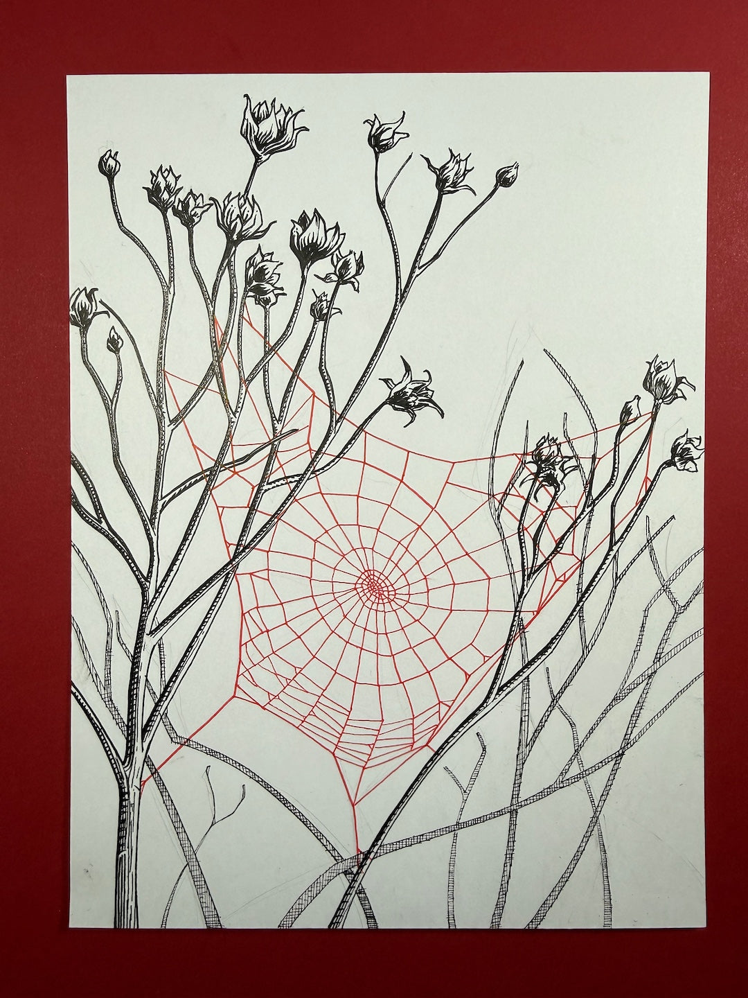 Zooctober 2025-Day 30: “Vacant”