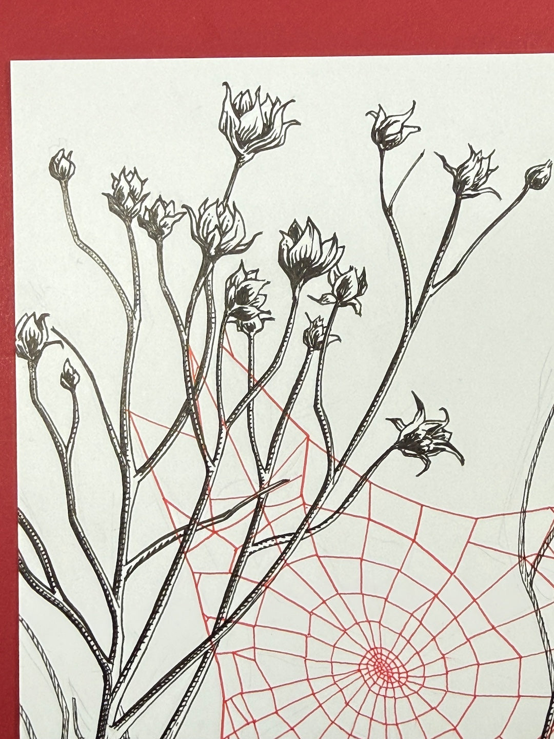 Zooctober 2025-Day 30: “Vacant”