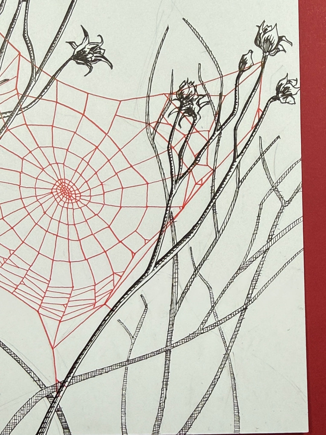 Zooctober 2025-Day 30: “Vacant”