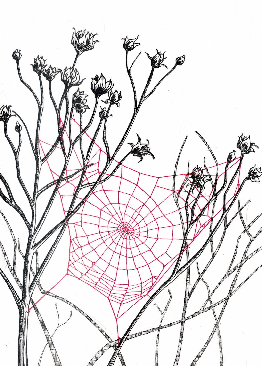 Zooctober 2025-Day 30: “Vacant” (Print)