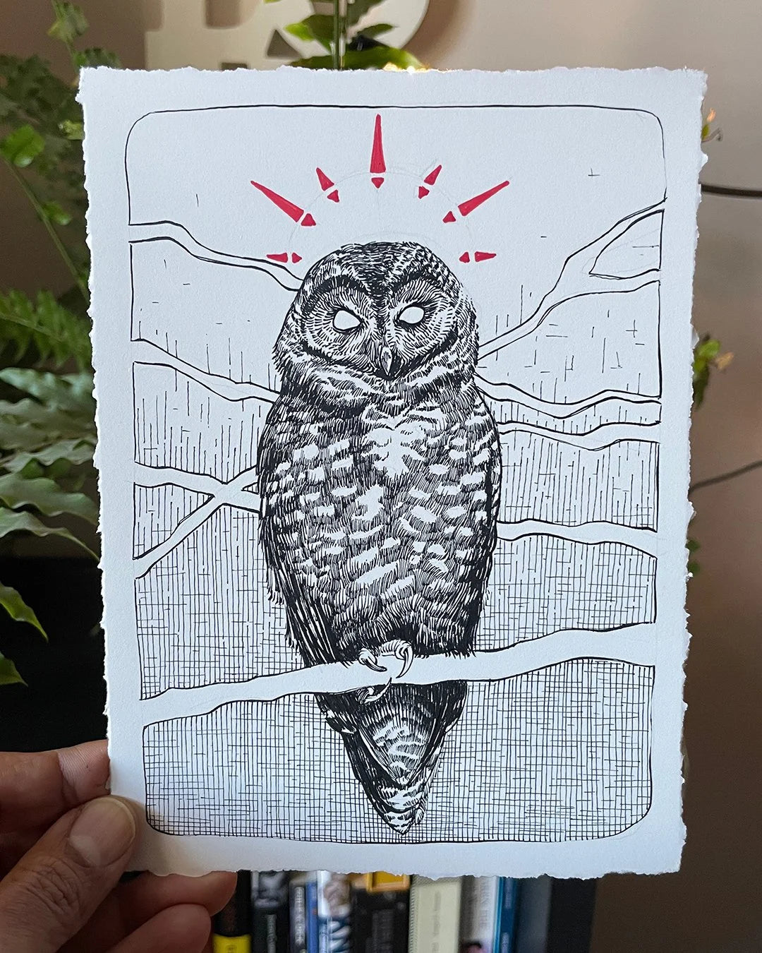 Bespoke Original Bird/Animal Drawing (B.O.B.A.D.)