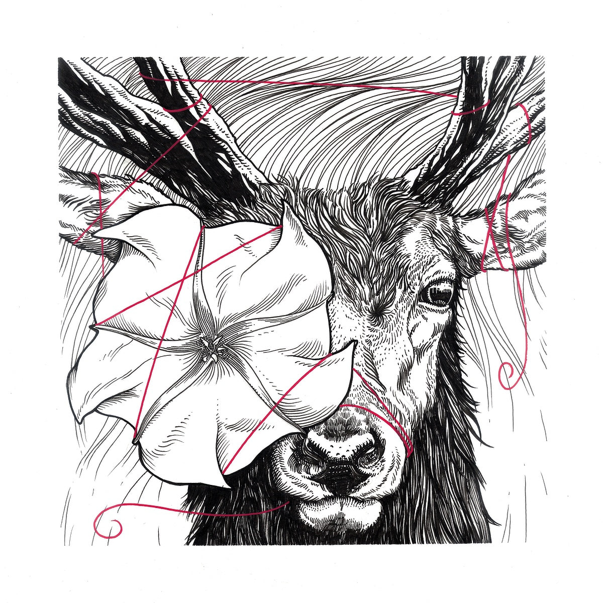 "Day" Limited Edition Print
