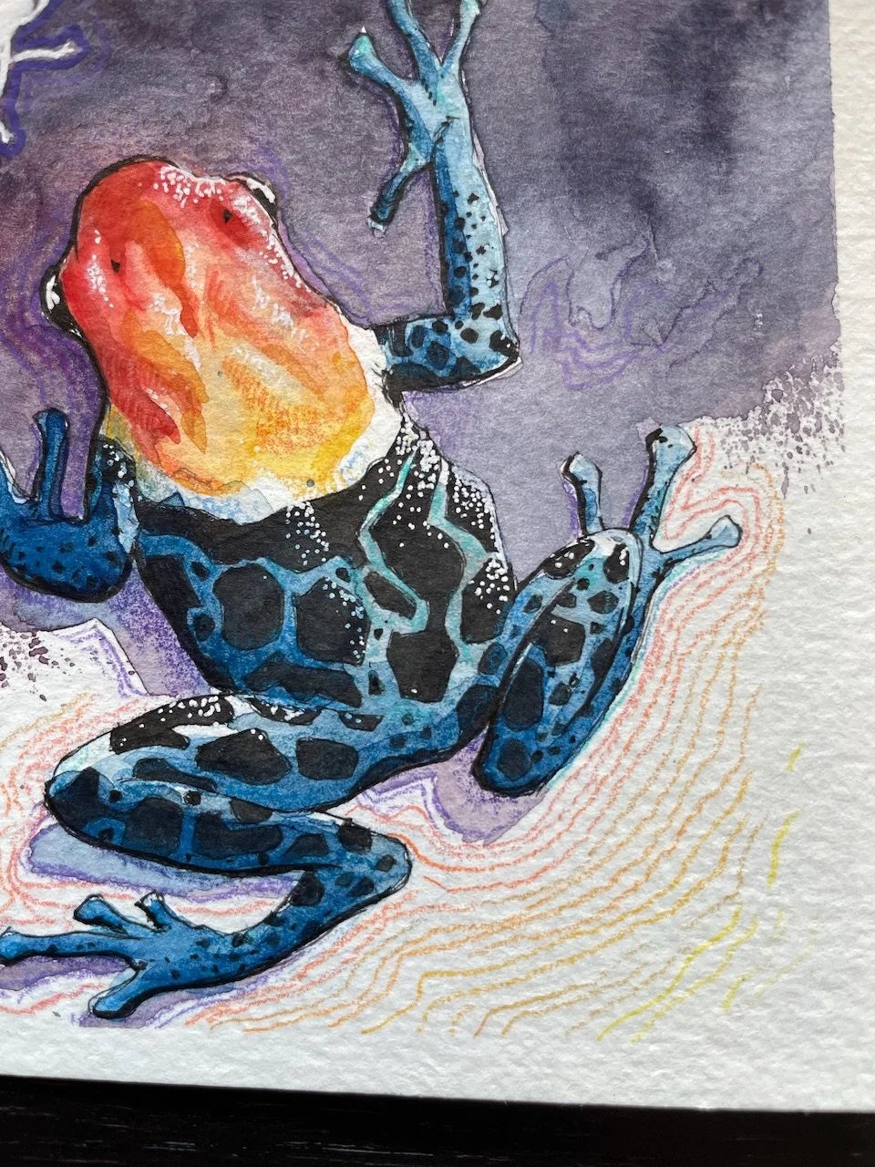 Poison Dart Frog